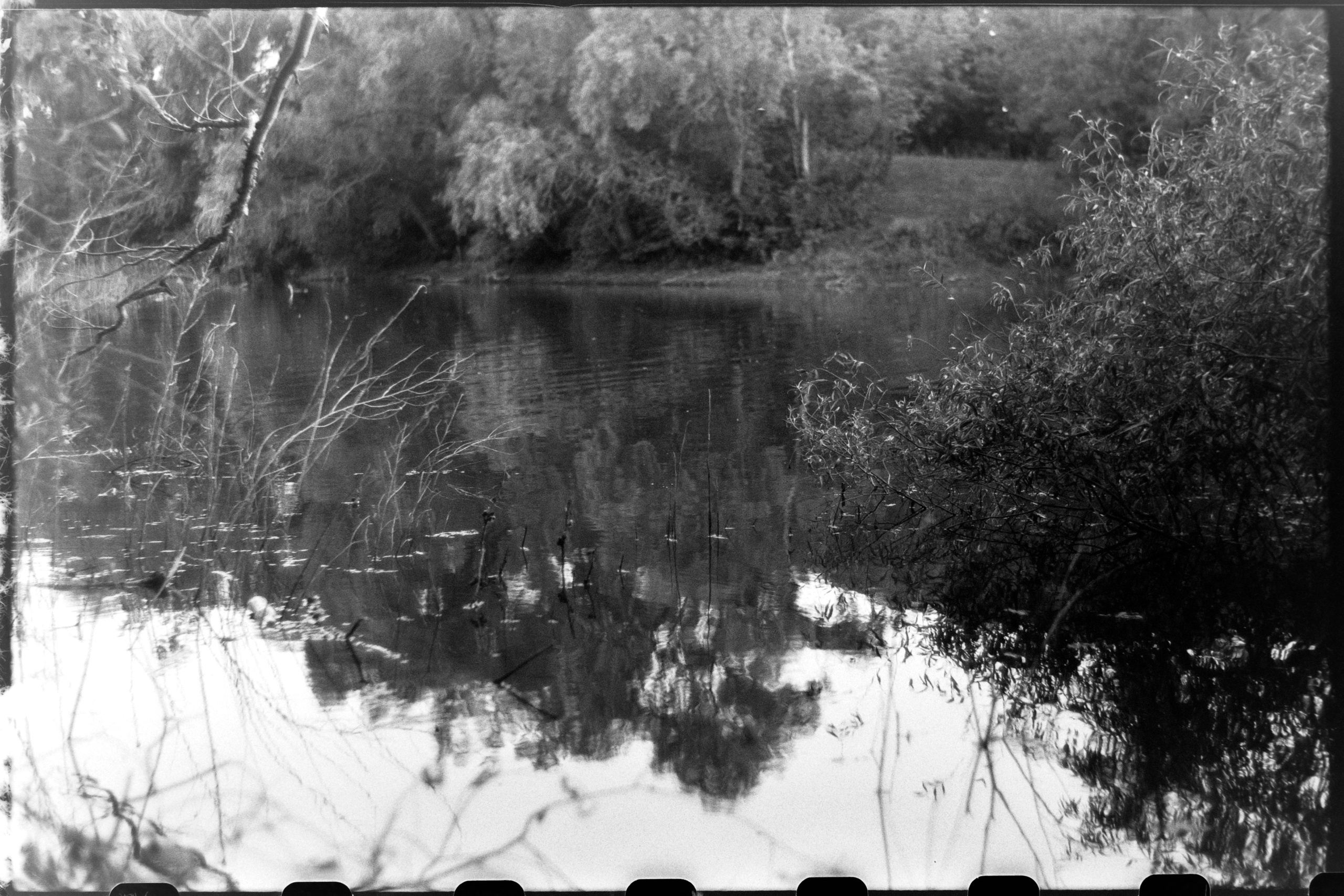 Пленочная история. Дмитрий Пропадалин, Нейрофотография