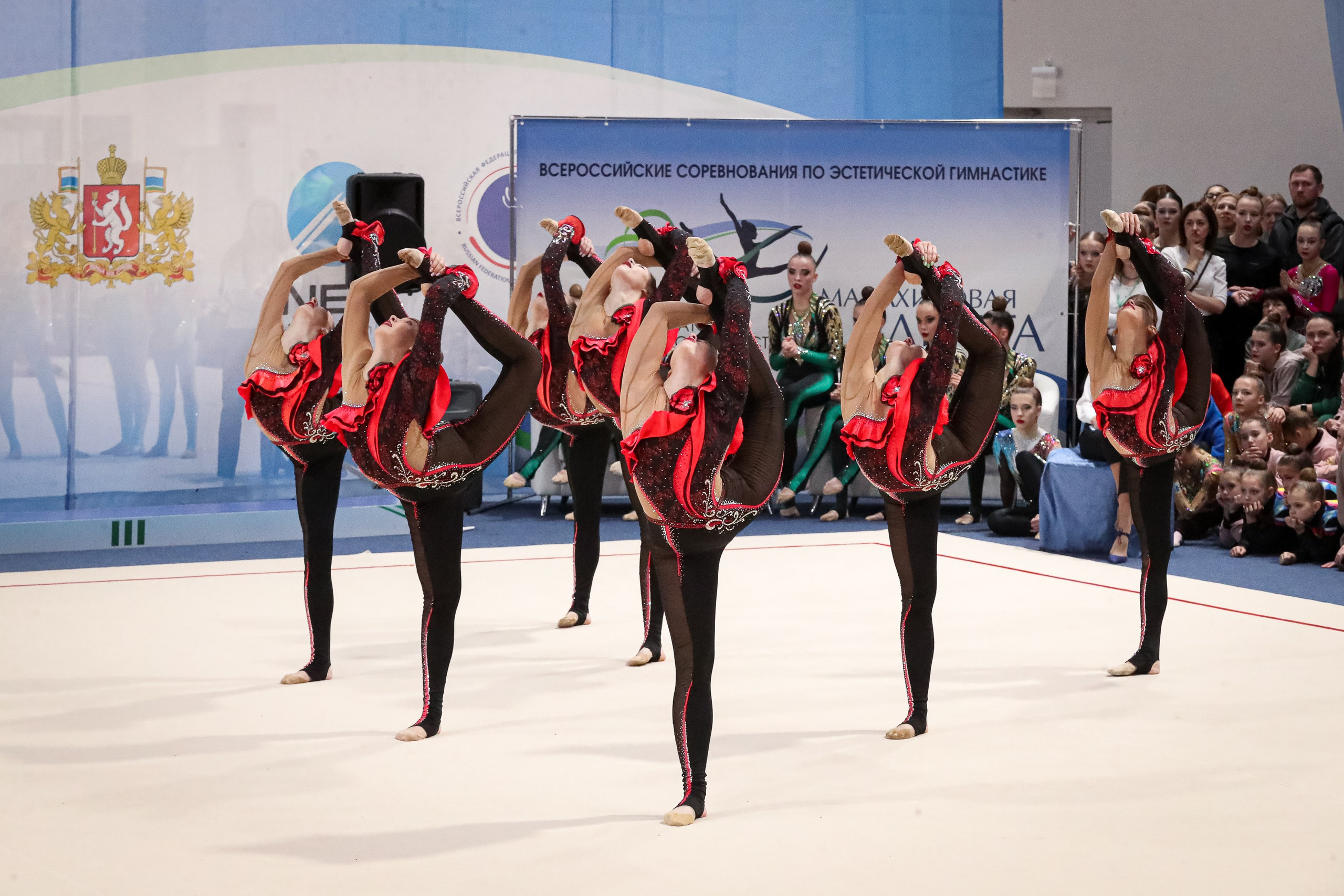 Эстетическая гимнастика. Спортивный фотограф Екатеринбург Онлайн трансляции