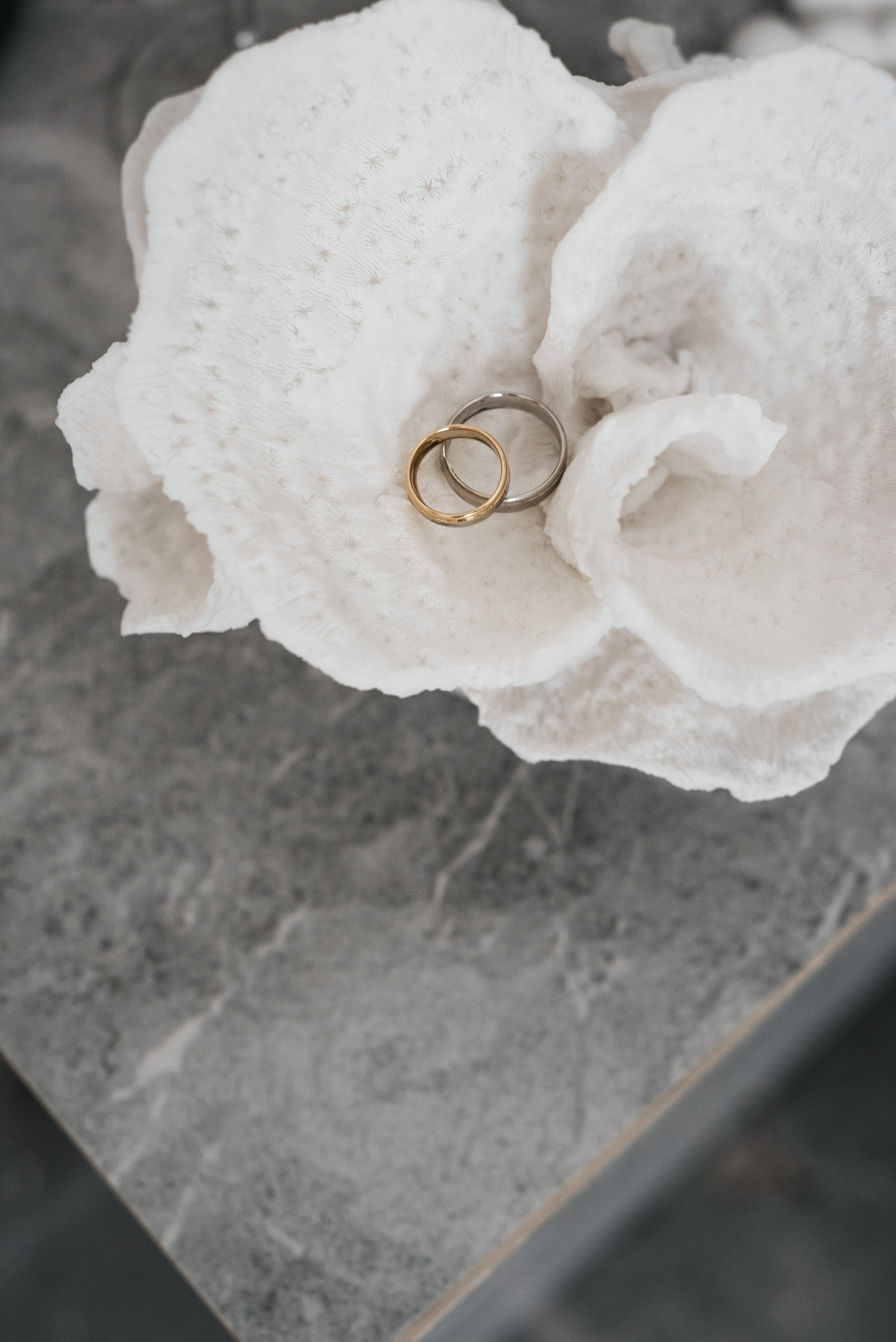 Студийная свадебная фотосессия Воронеж