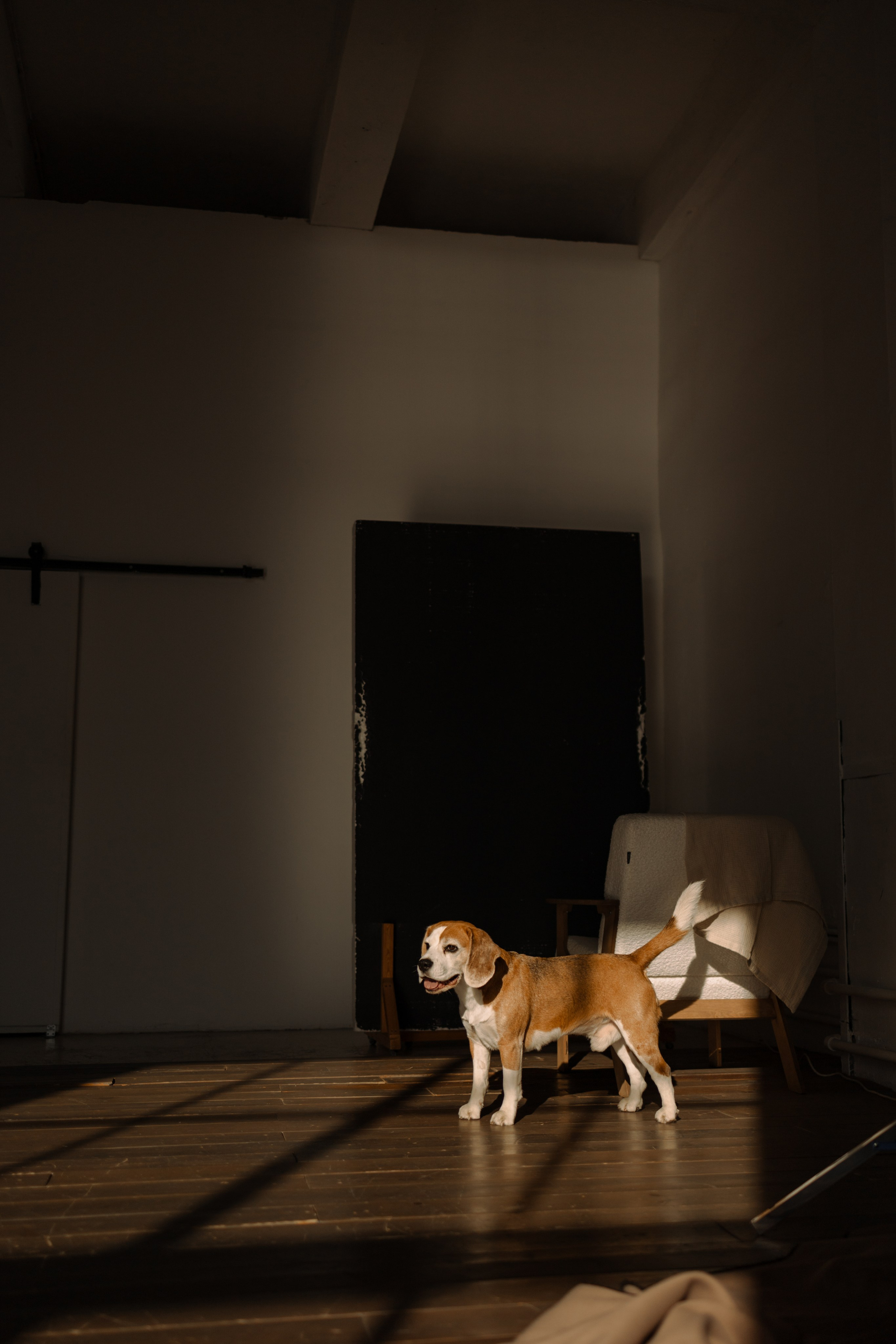 Даня и его семья. Фотограф — Анималист | Санкт-Петербург