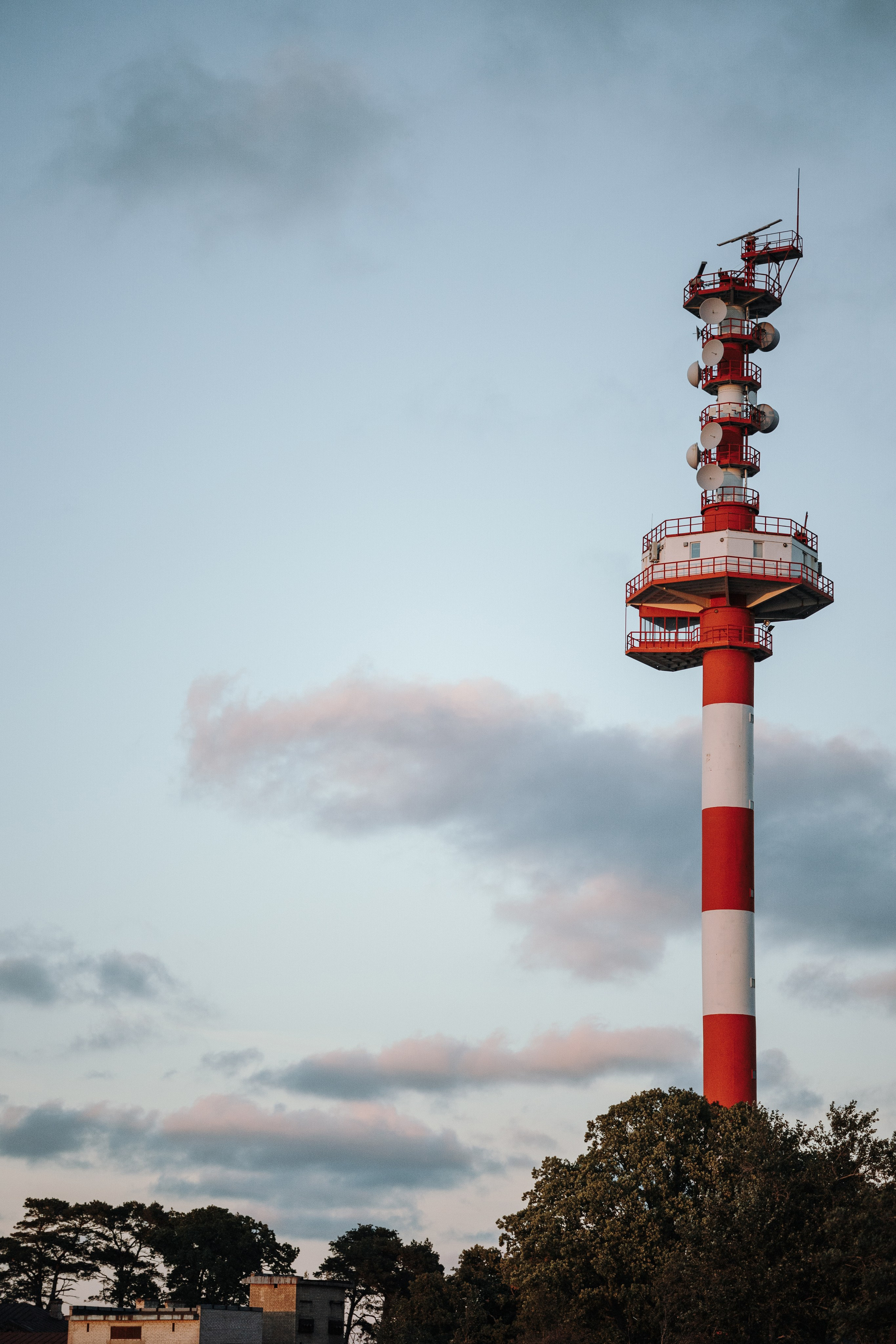 Верон, Гарри и их семья. Фотограф — Анималист | Санкт-Петербург