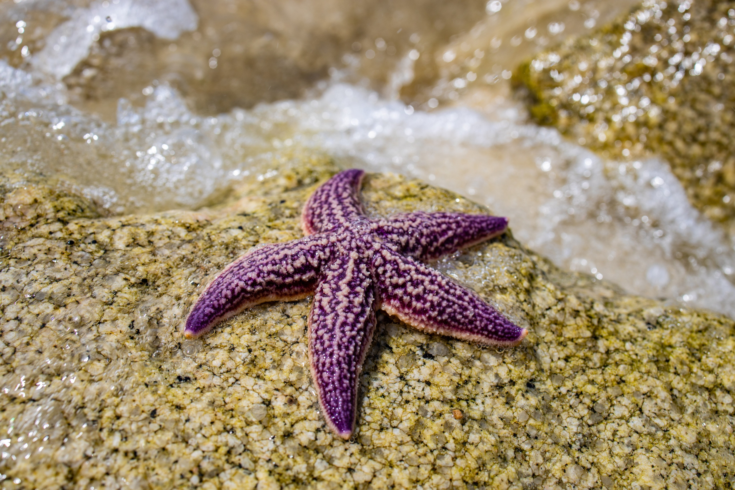 Пейзаж. Репортажный Фотограф во Владивостоке и России Осипчук Дмитрий