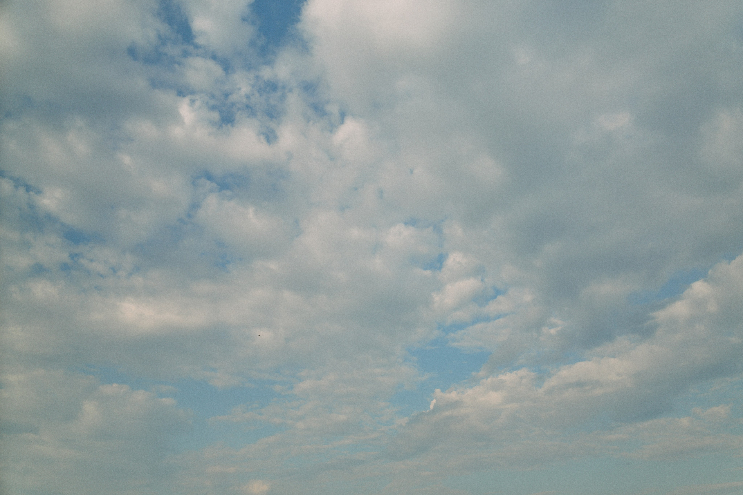 Бутик-отель Поле летом. Профессиональный Фотограф во Владимире, в Москве и в Суздале — Полина Романычева