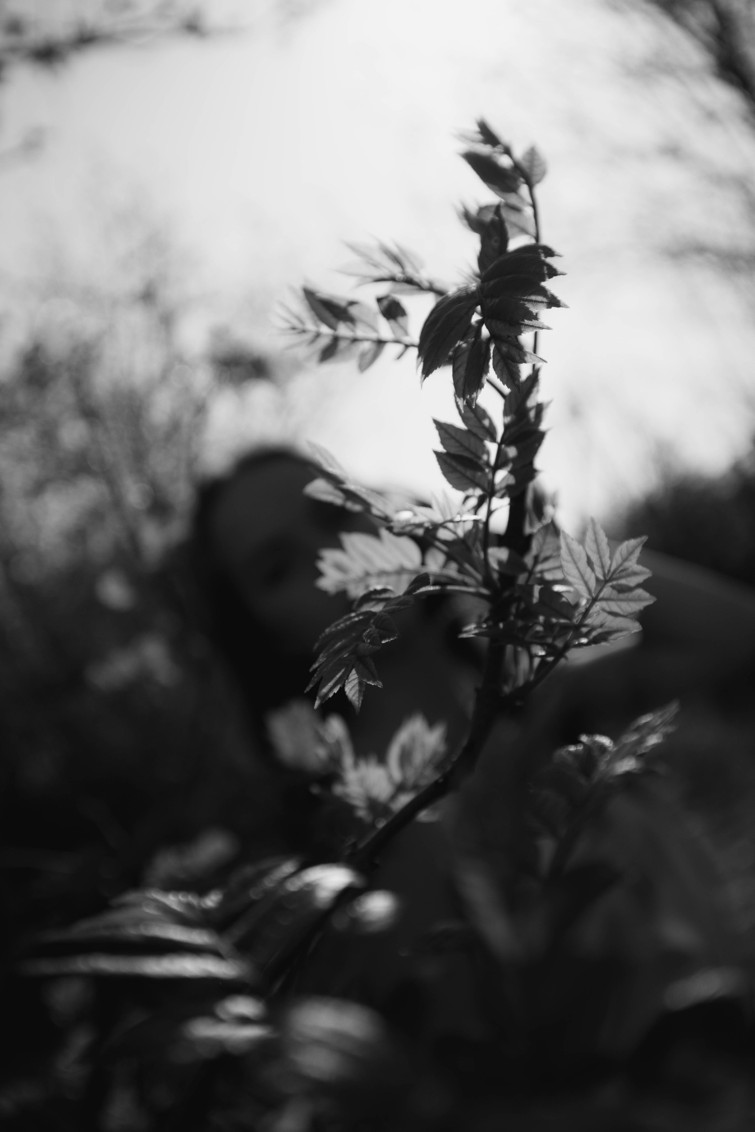 «Деревья шепчут, горы молчат». Уличный фотограф Города N