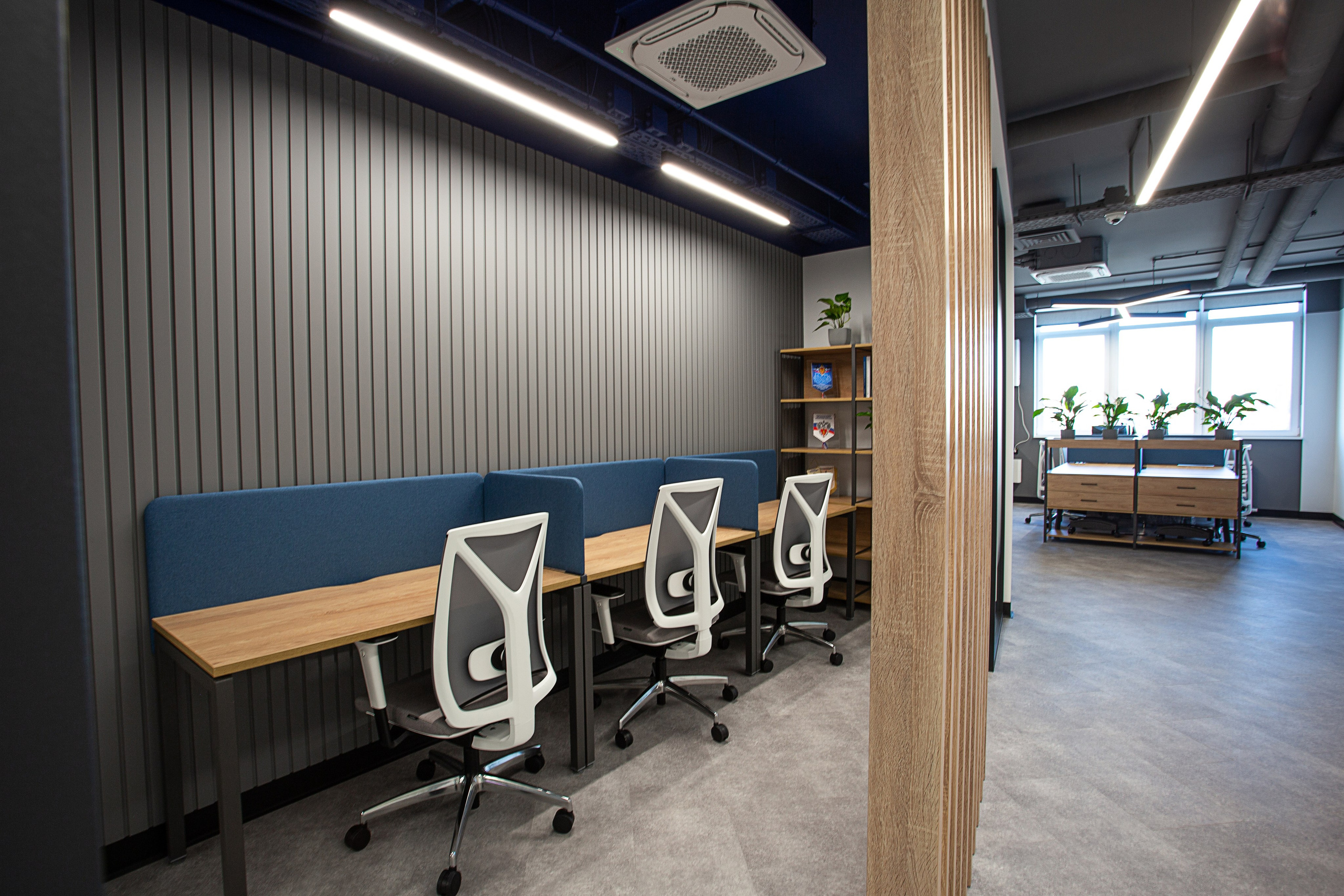 Офисы Инфотех. Контент фотограф, съемка для маркетплейсов, фуд съемка и репортажи в Новосибирске Ралия Галеева