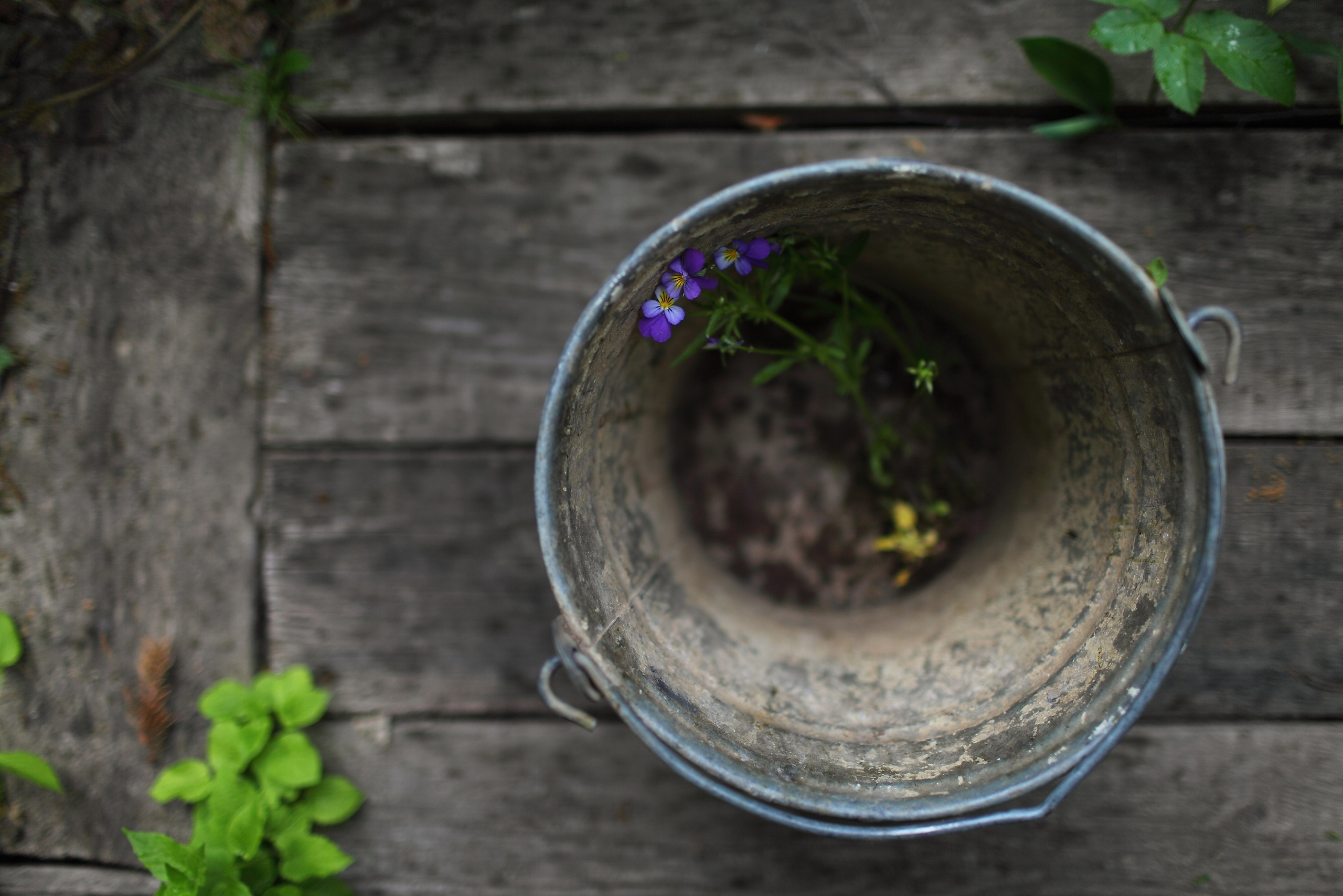 Средняя полоса. Свадебный и репортажный фотограф в Ярославле и Санкт-Петербурге Роман Микрюков