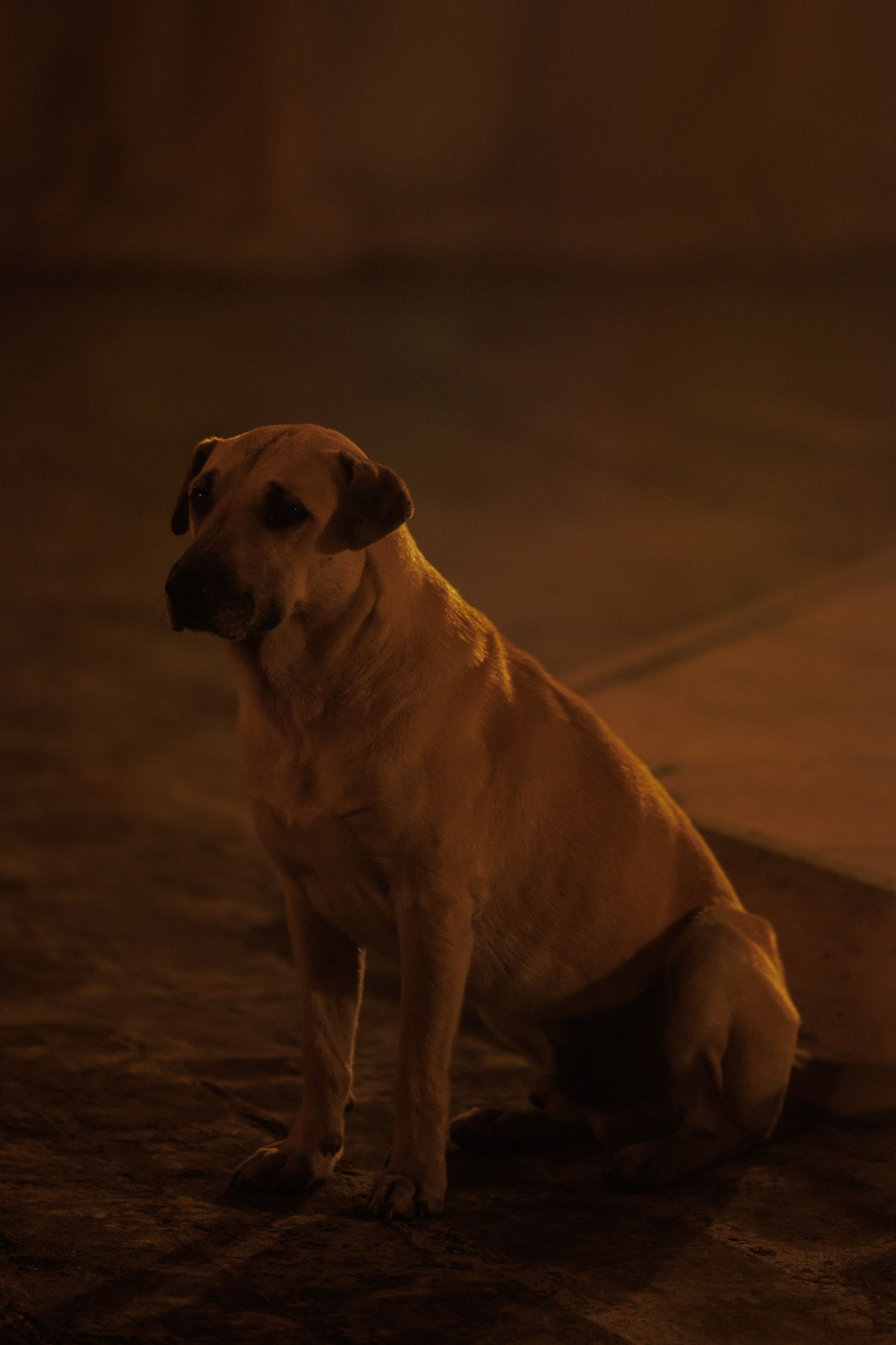 Wedding N&V. Свадебный фотограф Краснодар Юлия Ткаченко