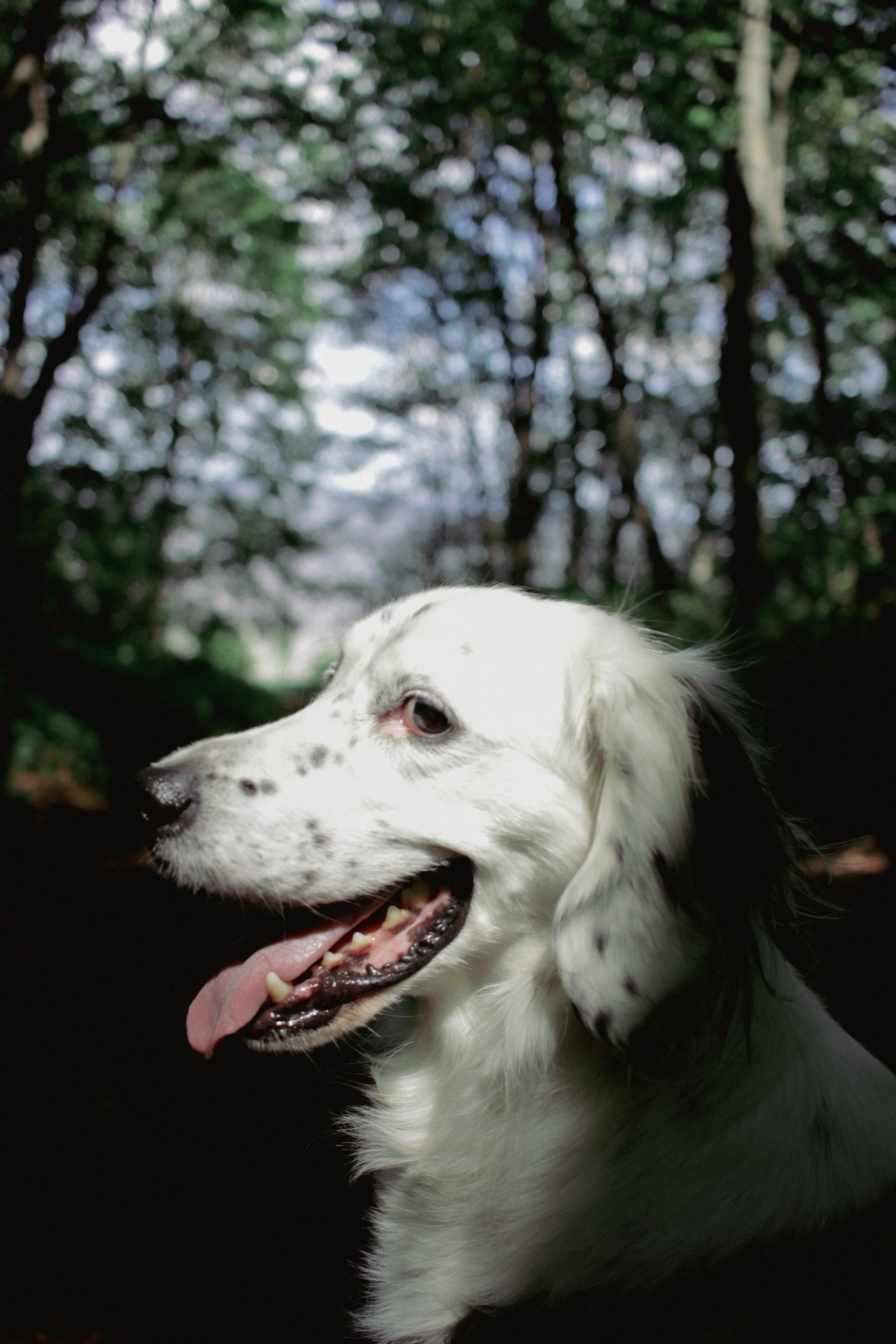 Yura and LosK. Фотограф в Казани / Регина Суфиянова