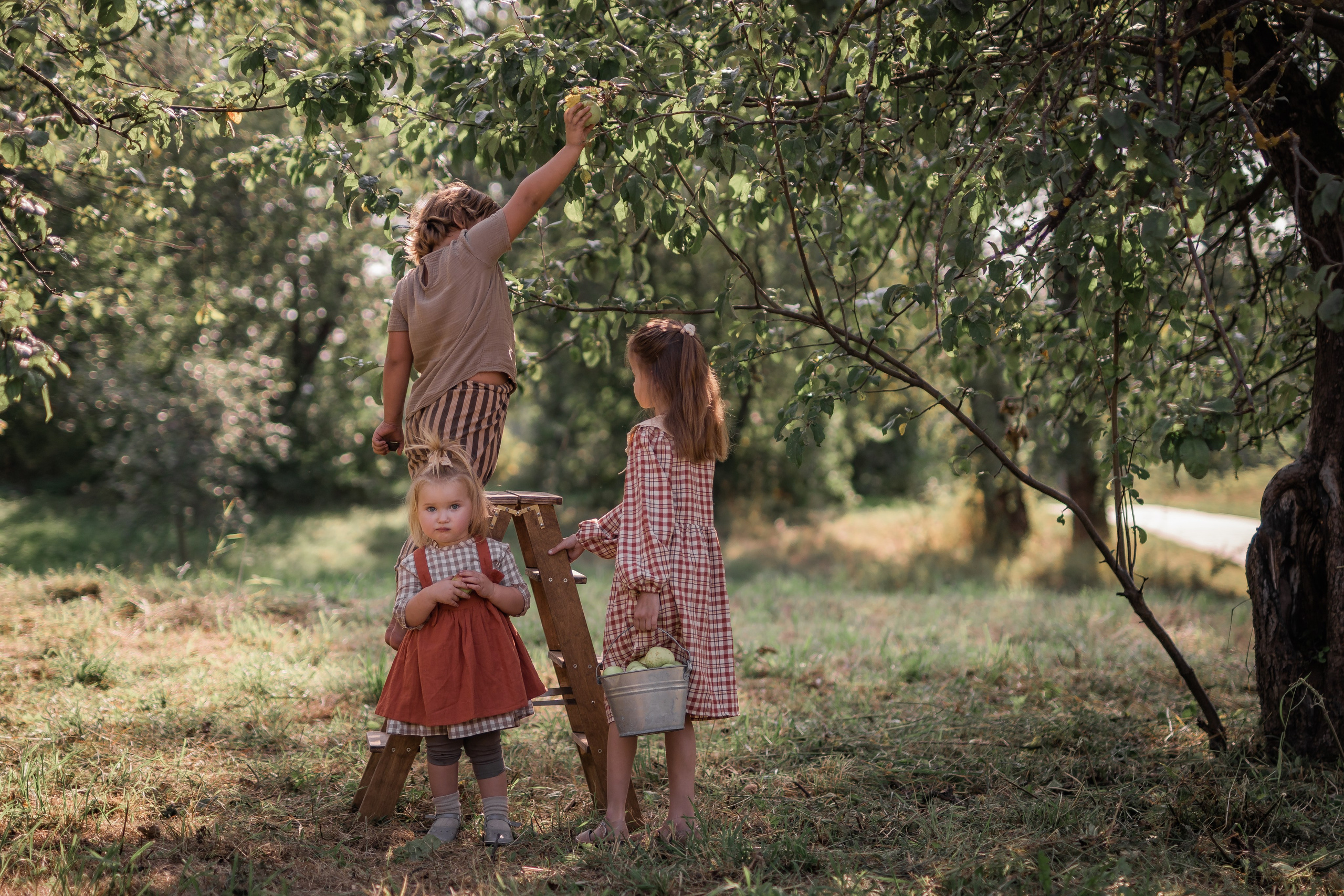 Яблочный сад. Семейный фотограф Ефремова Виктория
