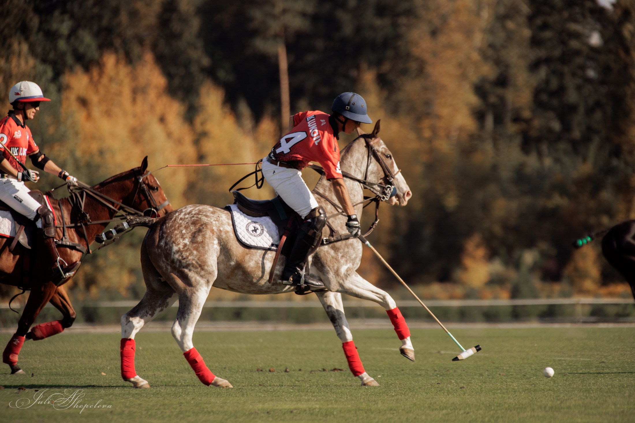 Осенний кубок по конному поло. Детская Конная фотография в Москве Юлия Шепелева