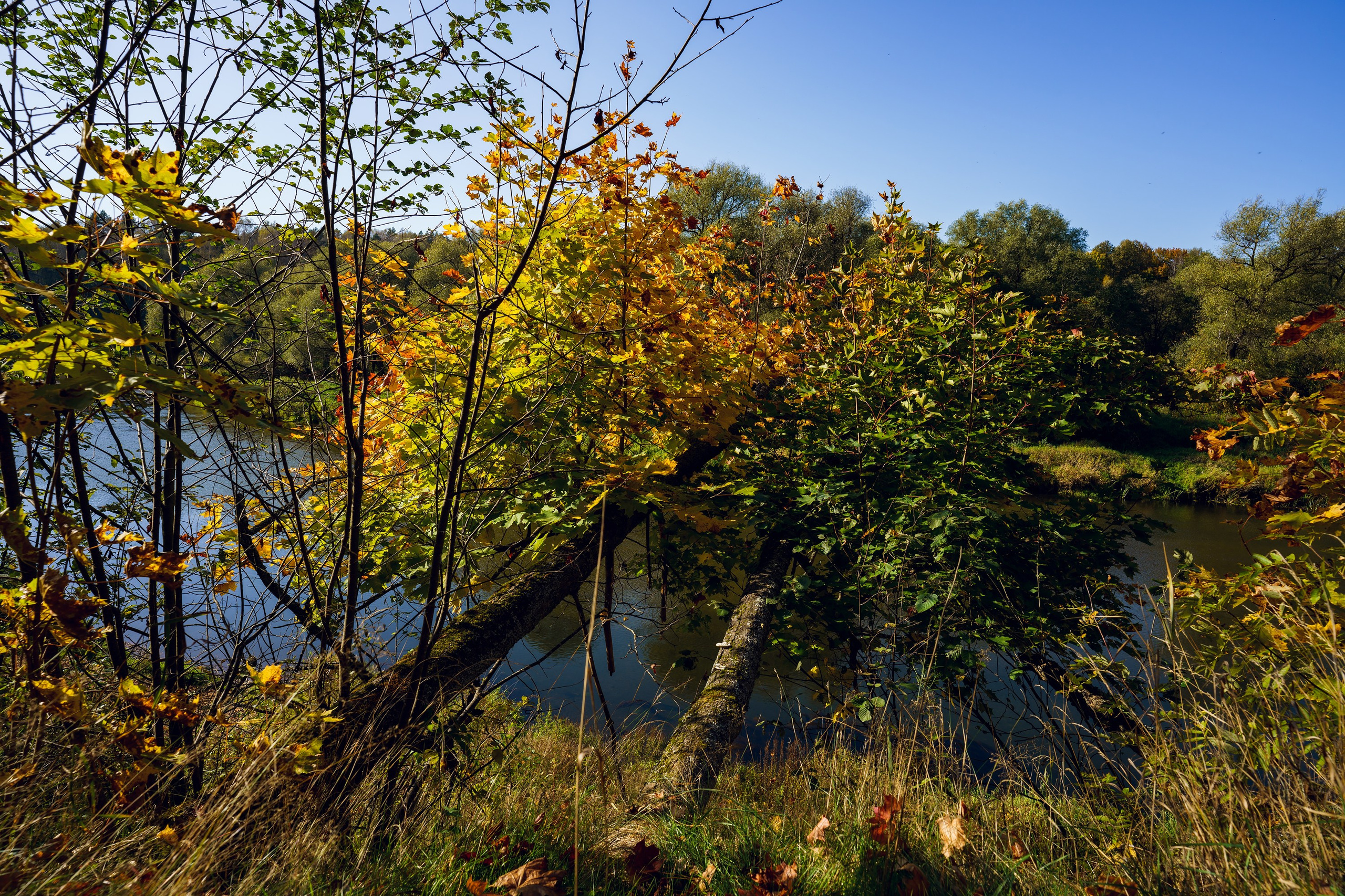 Фотографии Большая Калужская Тропа. Фотограф спортивные события, недвижимость, турбизнес