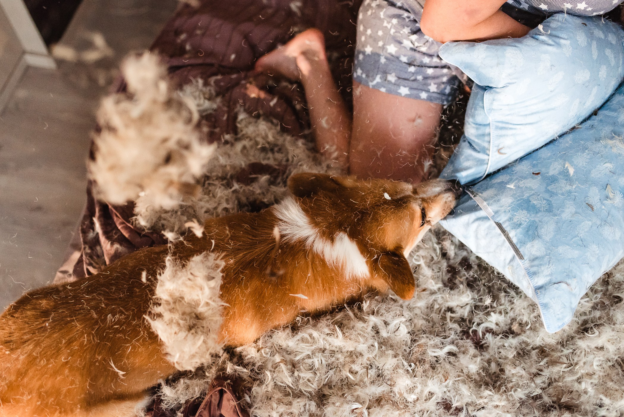 Пижамная вечеринка Тани и Димы. Семейный Фотограф в Москве Ирина Хохлова