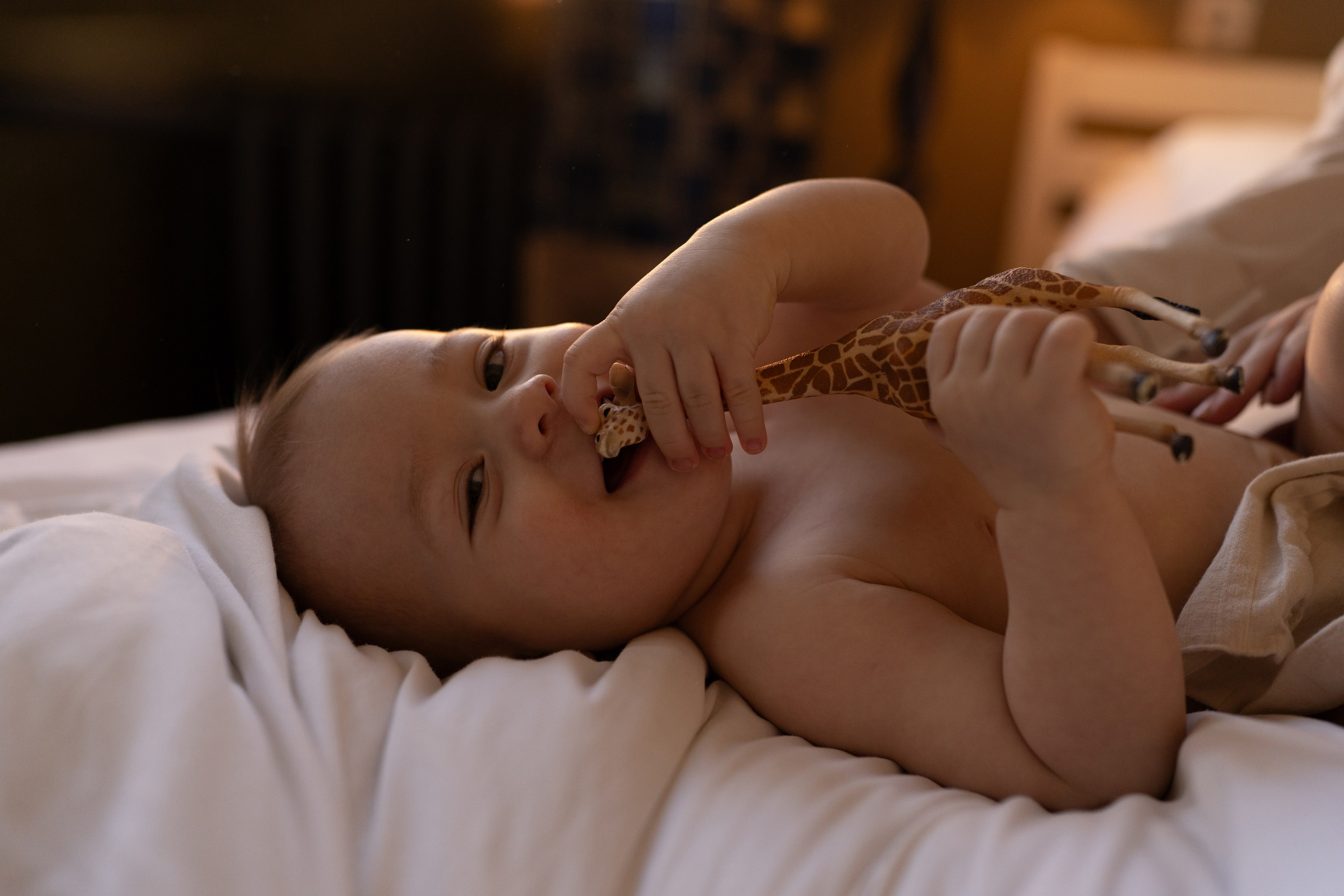 «Весеннее утро». Фотограф материнства Лена Олюнина Фотограф Калининград