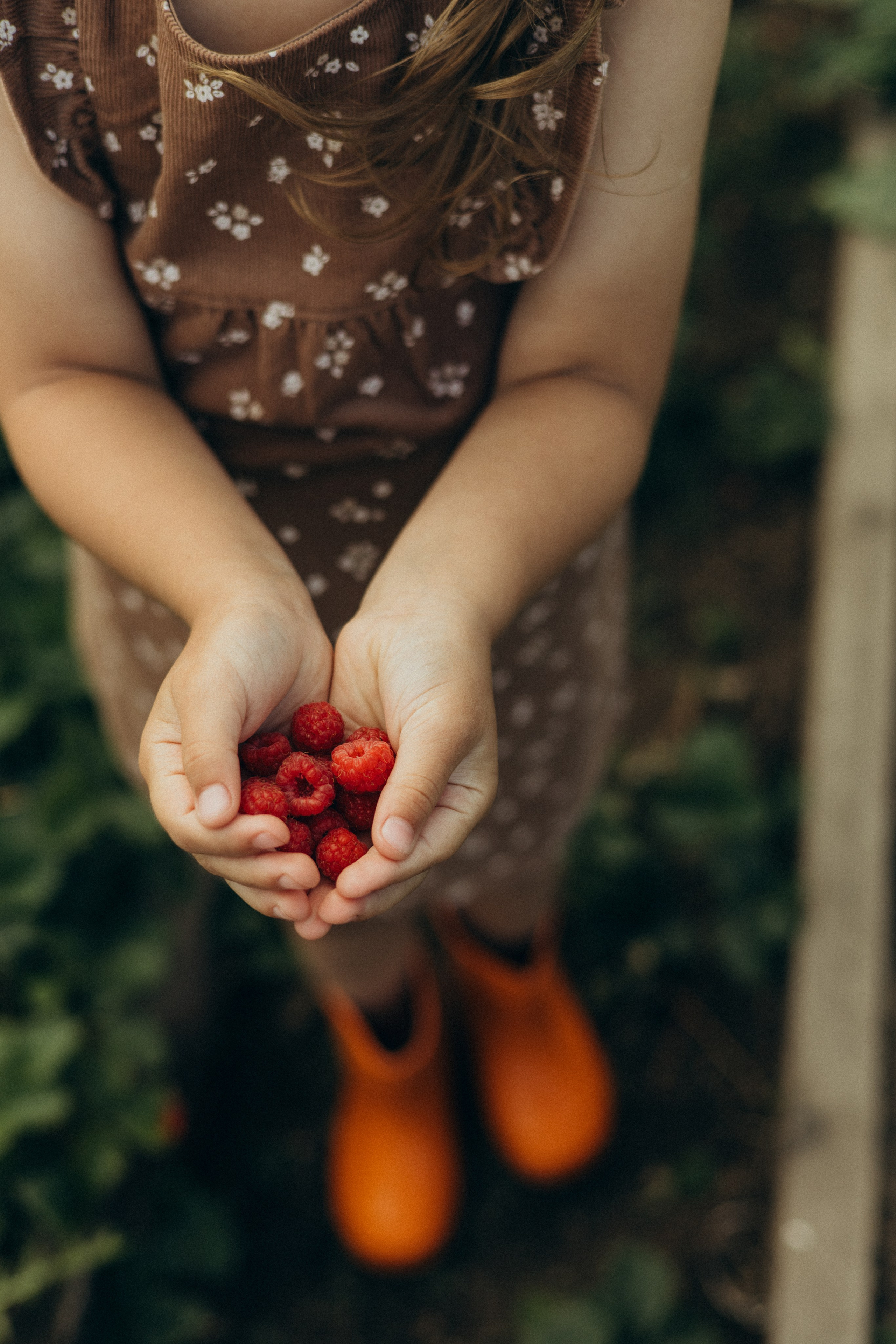 Хорошо в деревне летом…♡. Фотограф в г. Чита
