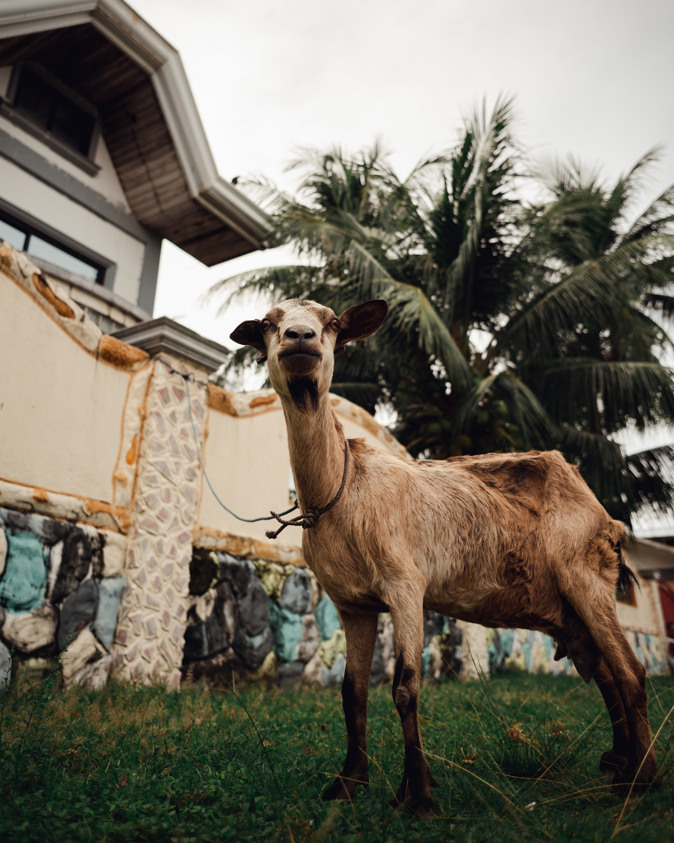 Philippines. Photographer in Tokyo Anatolii Ozarto