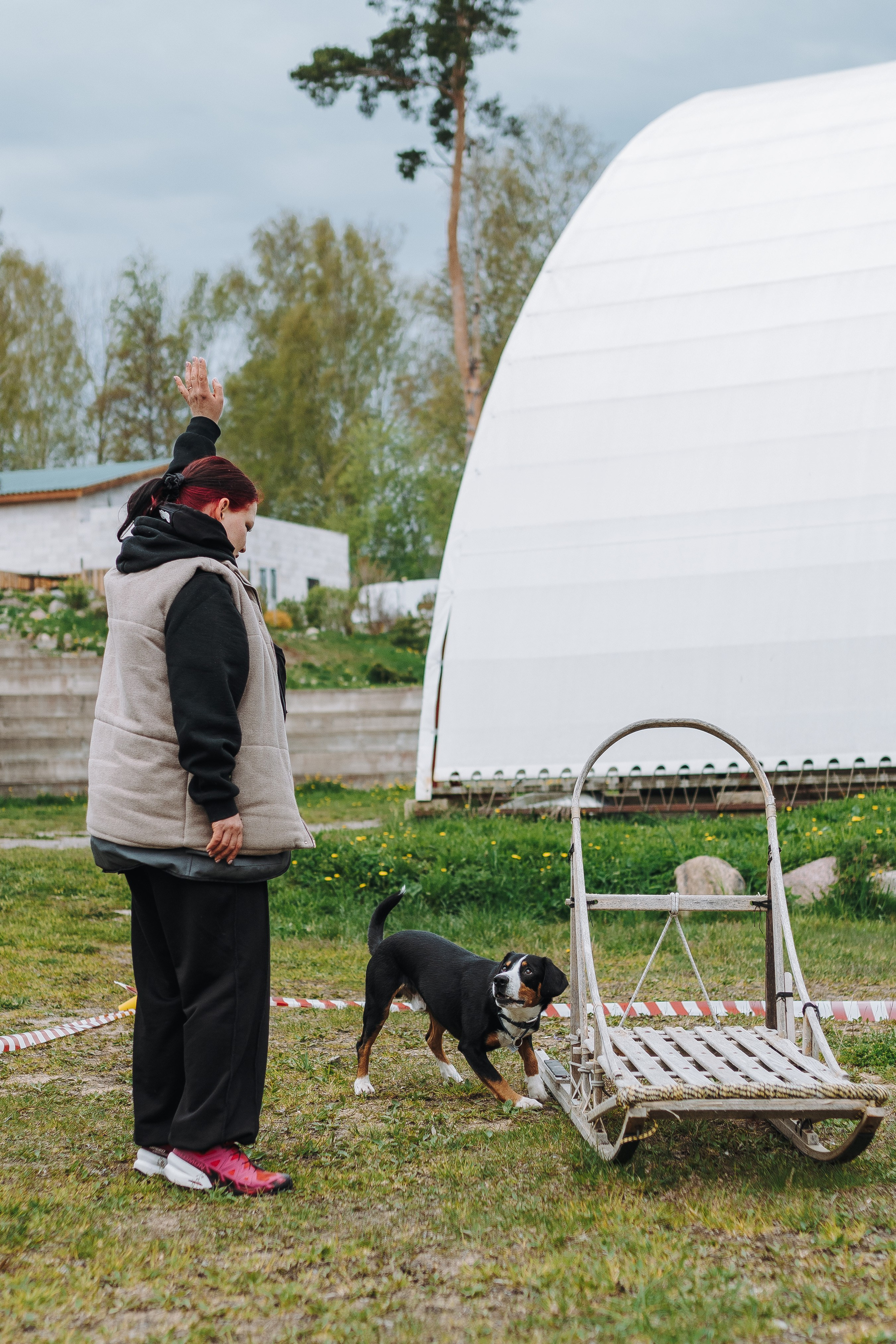 Соревнования по ноузворку в Лосево. Фотограф анималист в Спб недорого Олеся Майорова
