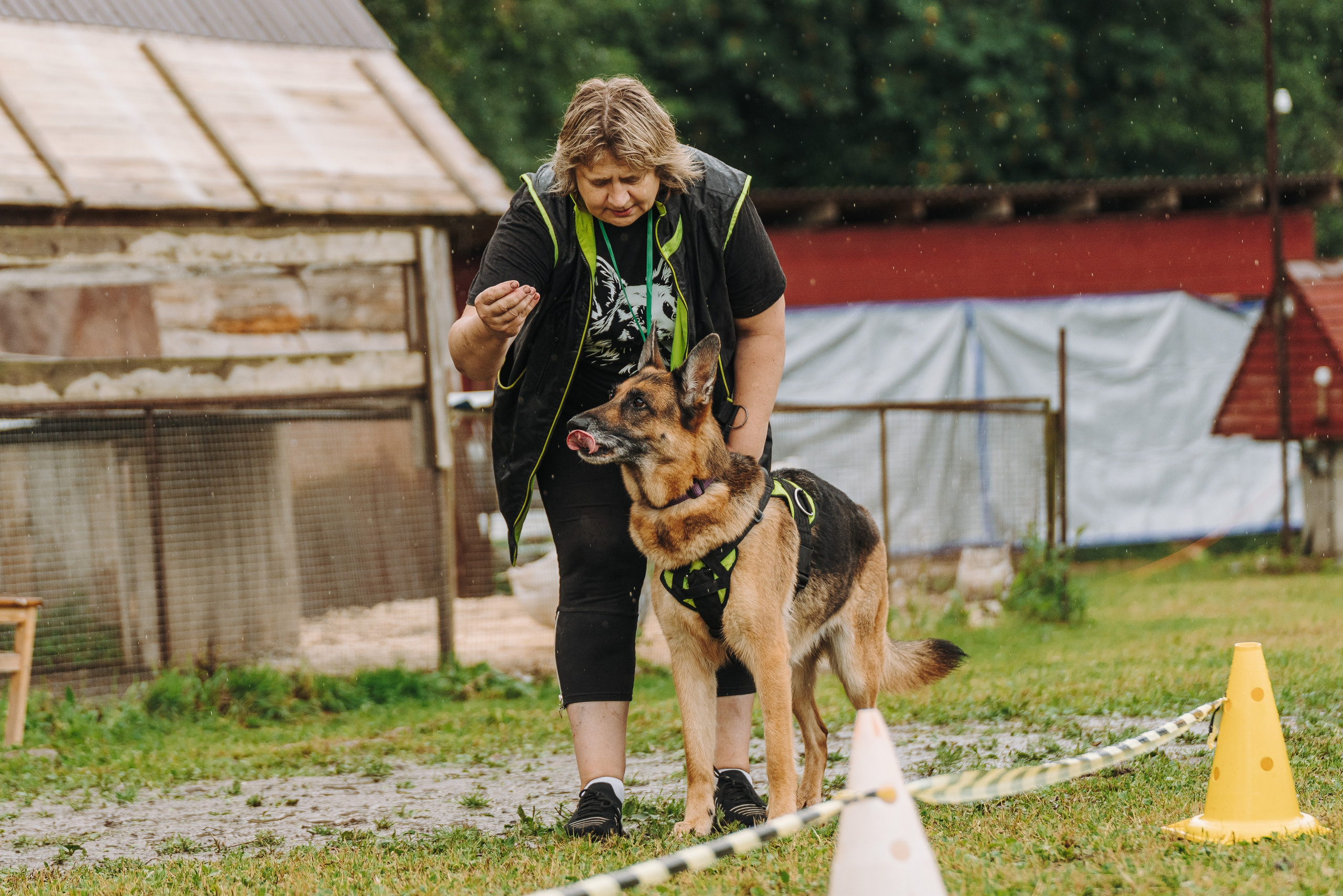 Соревнования по ноузворку в Новожилово. Фотограф анималист в Спб недорого Олеся Майорова