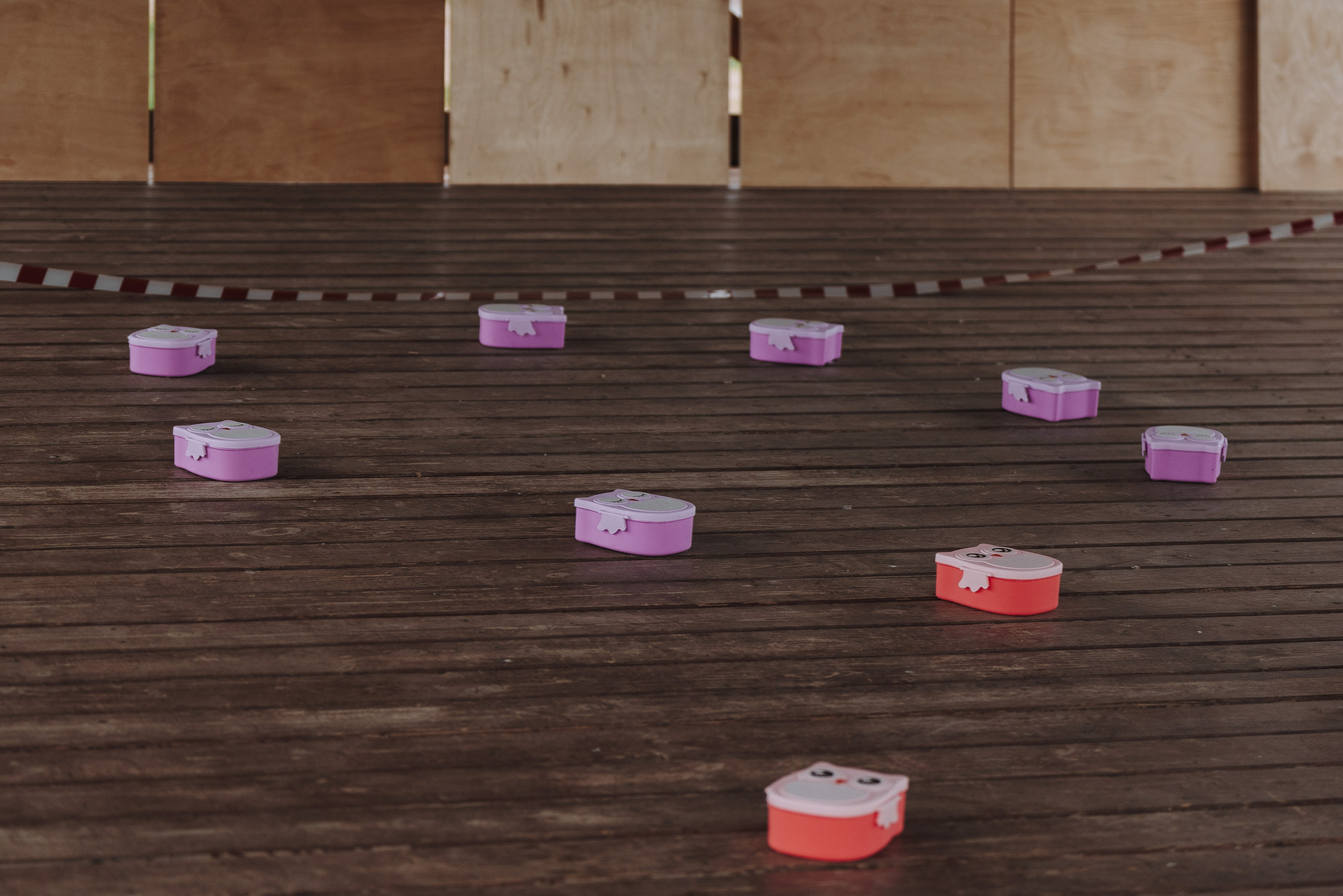 Соревнования по ноузворку в Лосево. Фотограф анималист в Спб недорого Олеся Майорова