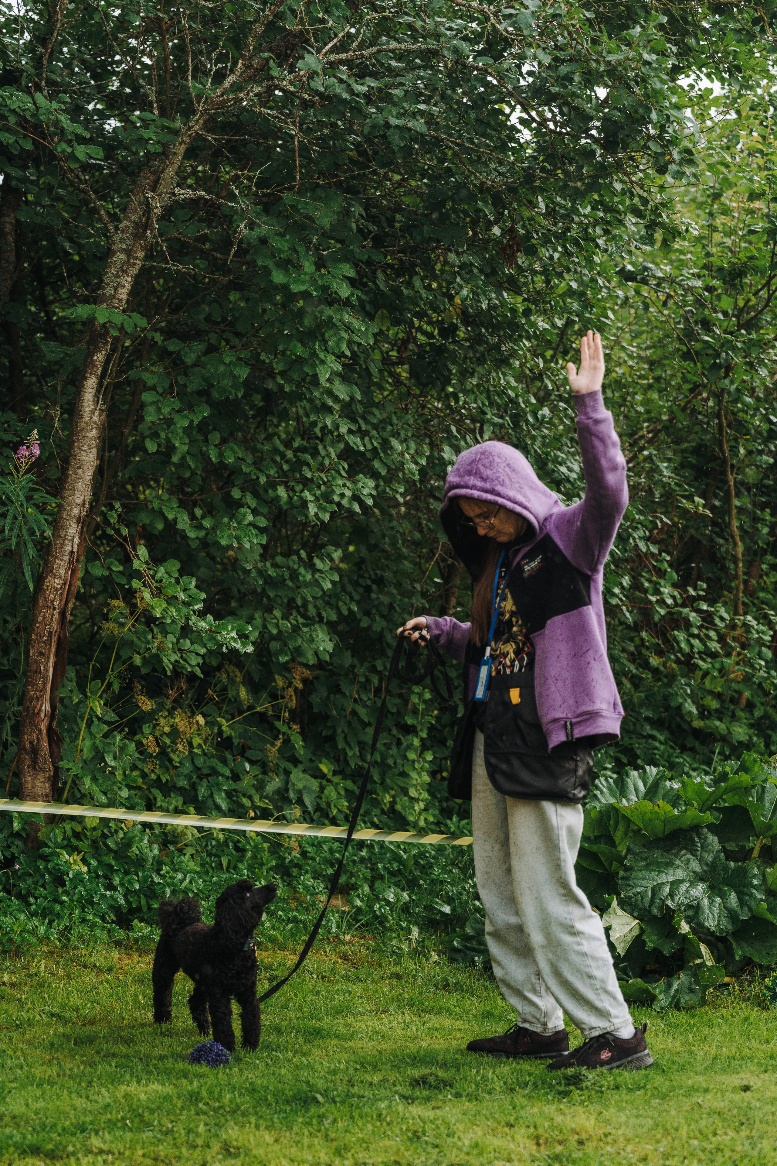 Соревнования по ноузворку в Новожилово. Фотограф анималист в Спб недорого Олеся Майорова