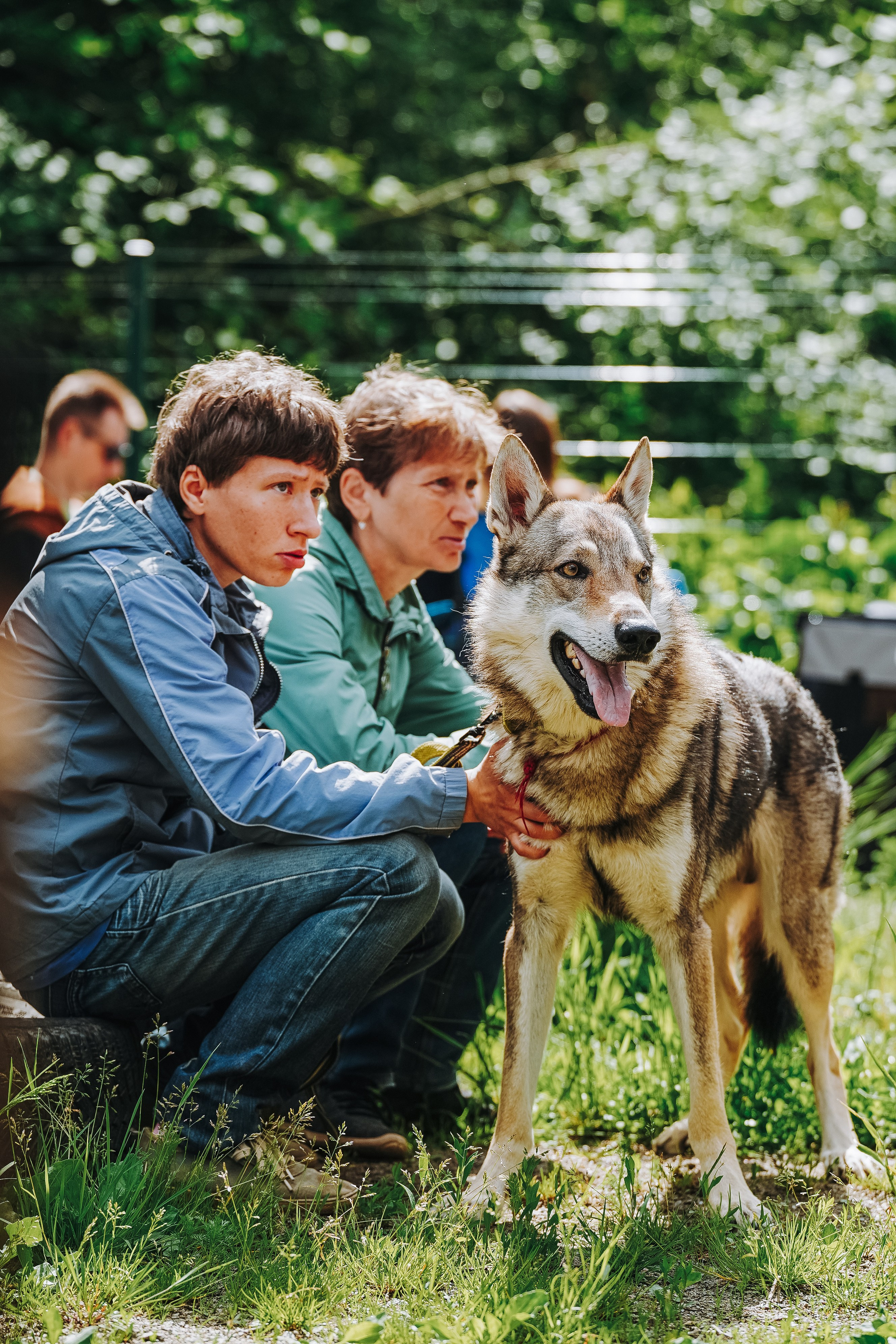 Соревнования по ноузворку. Фотограф анималист в Спб недорого Олеся Майорова