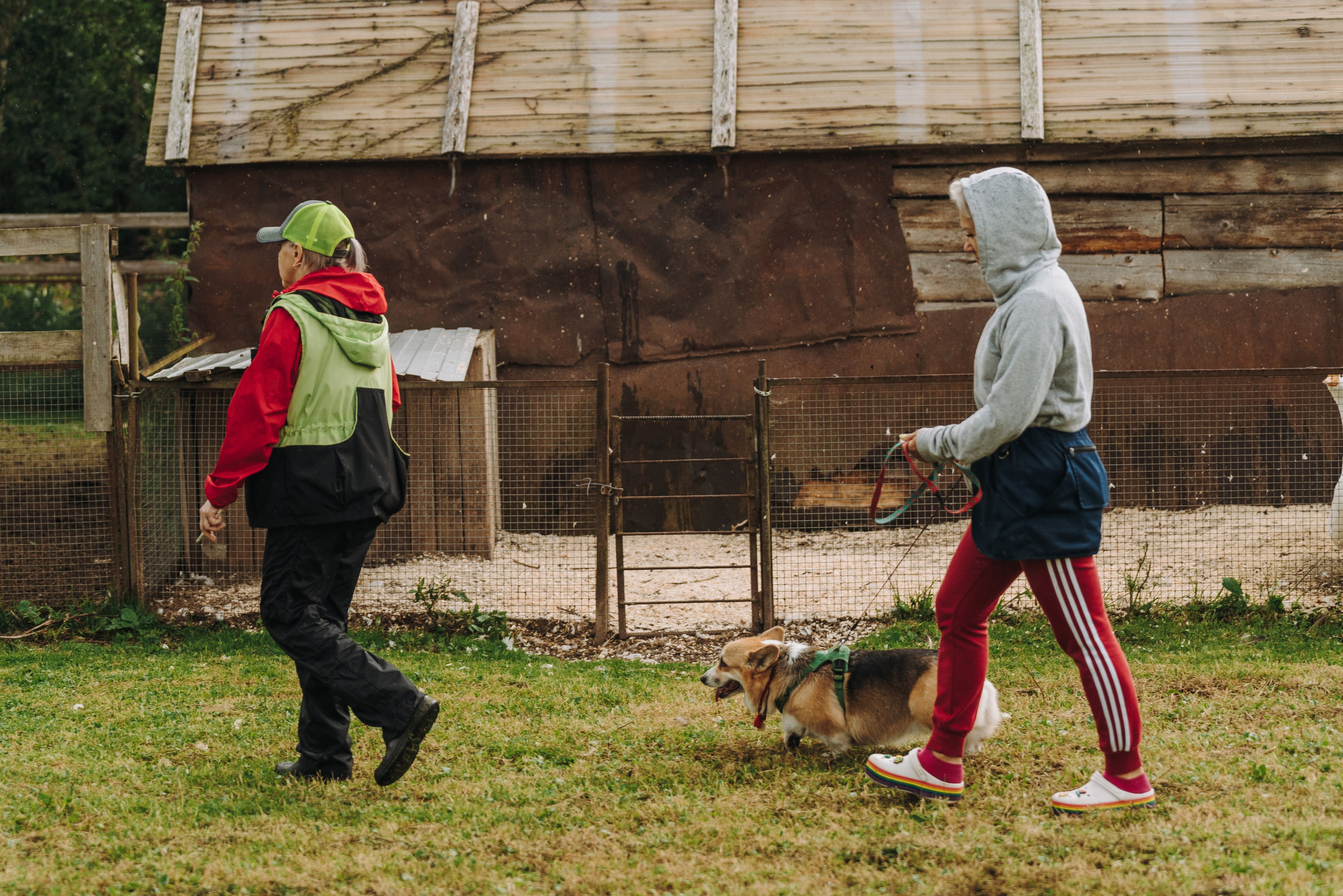 Соревнования по ноузворку в Новожилово. Фотограф анималист в Спб недорого Олеся Майорова