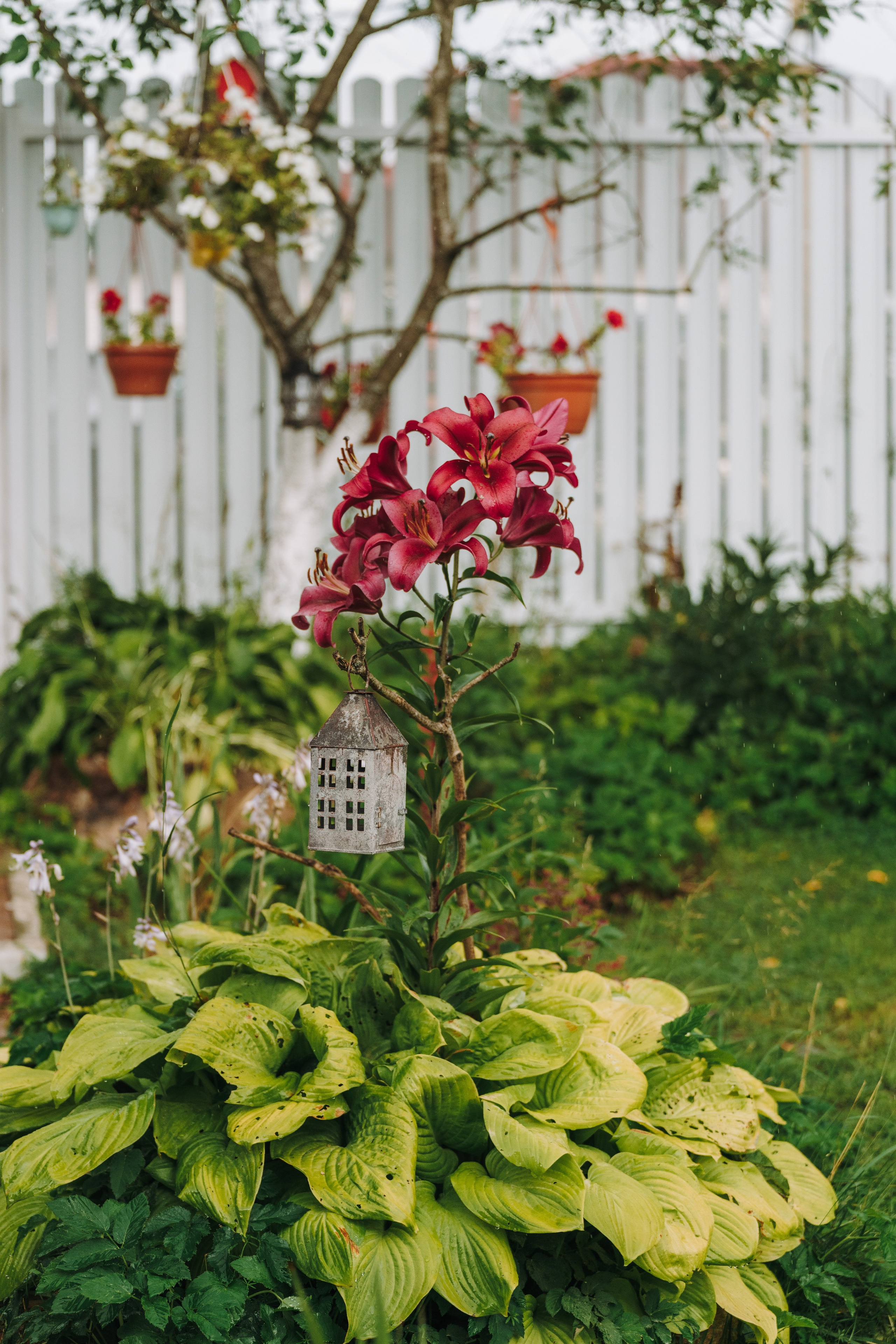 Соревнования по ноузворку в Новожилово. Фотограф анималист в Спб недорого Олеся Майорова