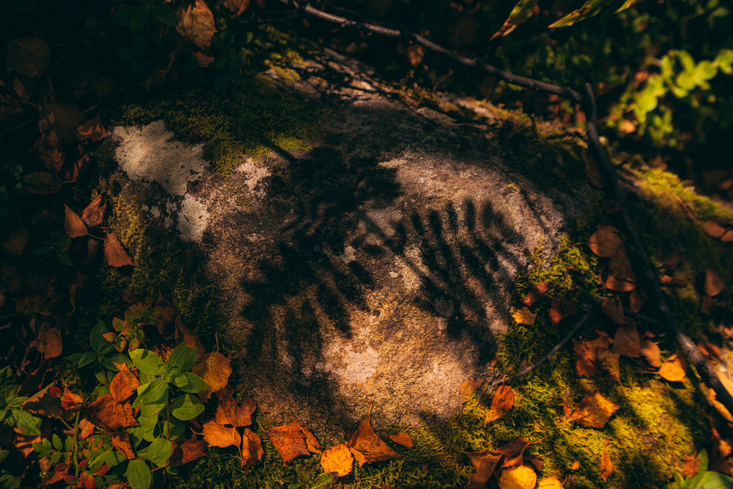 Мурманск. Фотограф Алиса Аспер