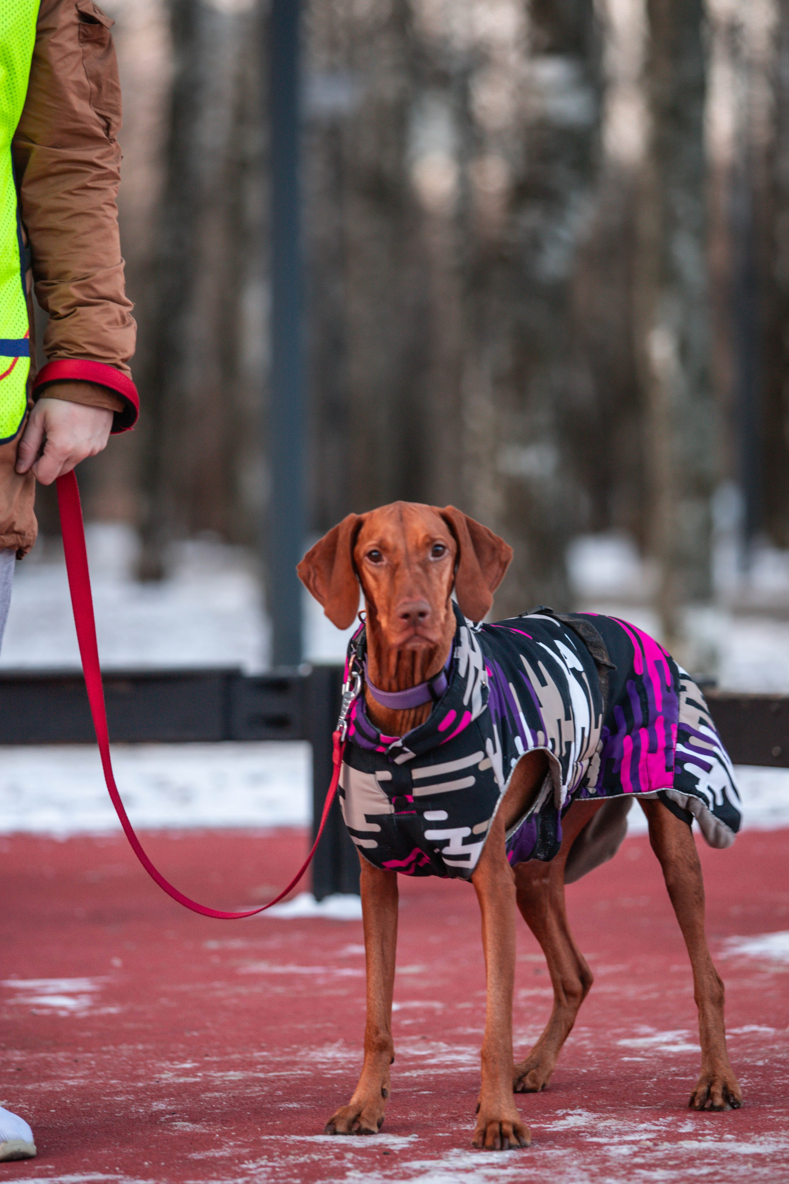5 верст_Бабушкинская. Александра Мельниченко/ Бегающий фотограф