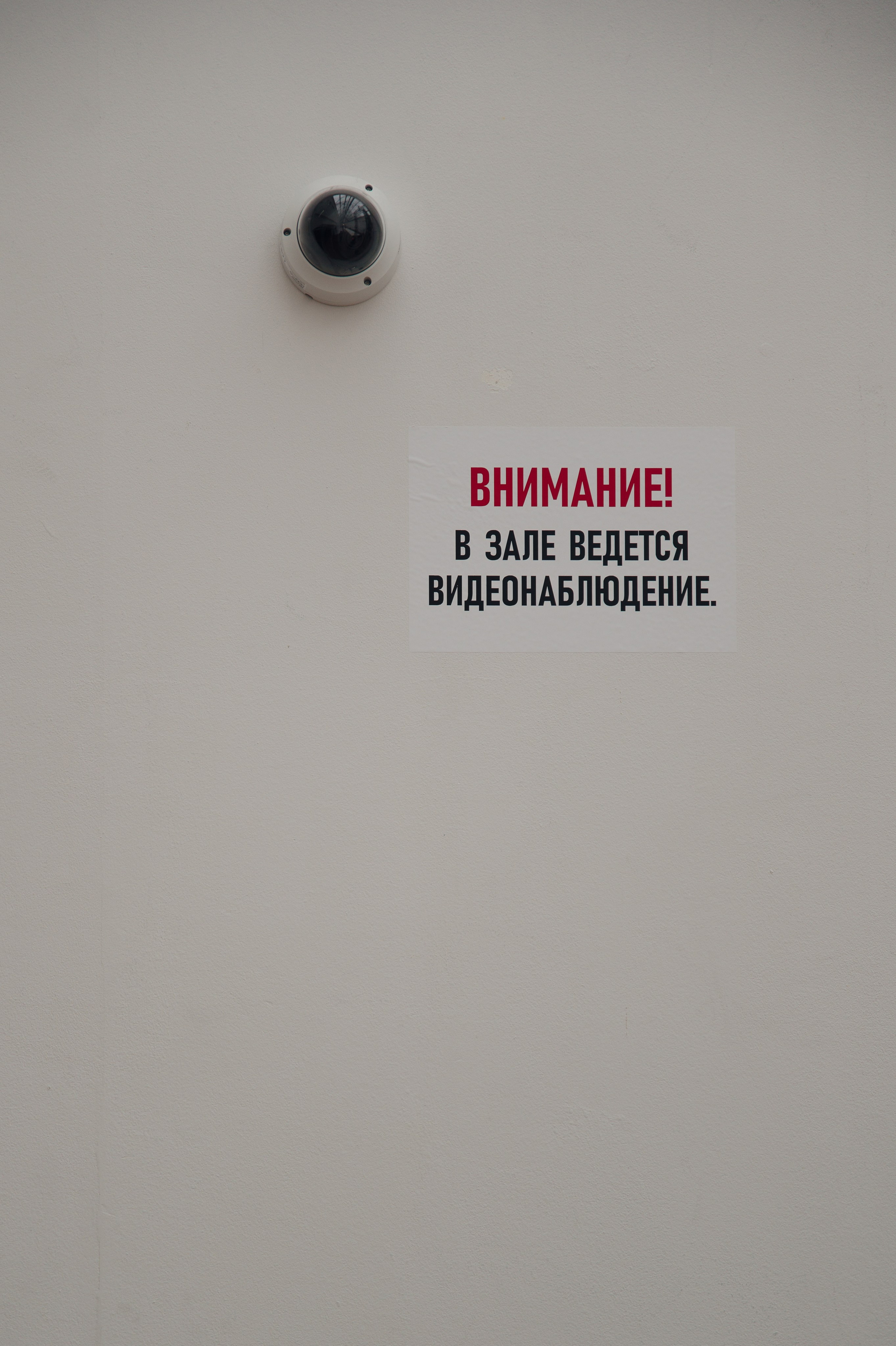 Бекстейдж показа «Новые Имена» собака.ru|ДЛТ. Портретный и репортажный фотограф в Санкт-Петербурге