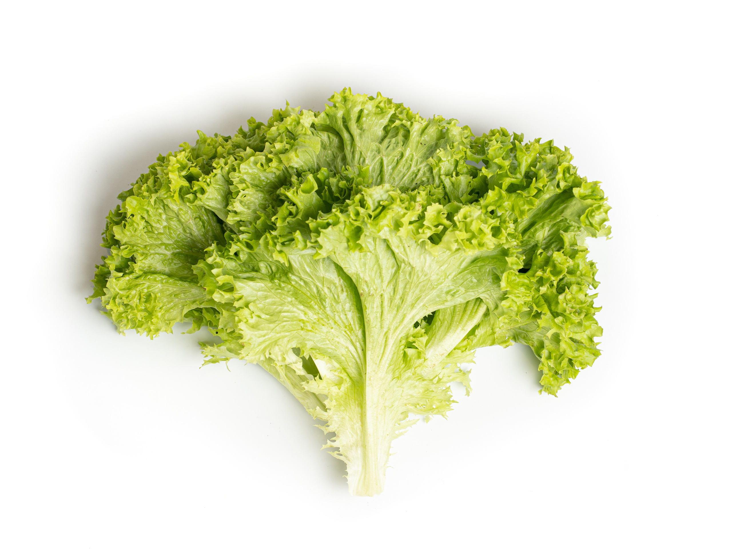 Яндекс Маркет. Предметный и фуд-фотограф в Москве Анна Царенко