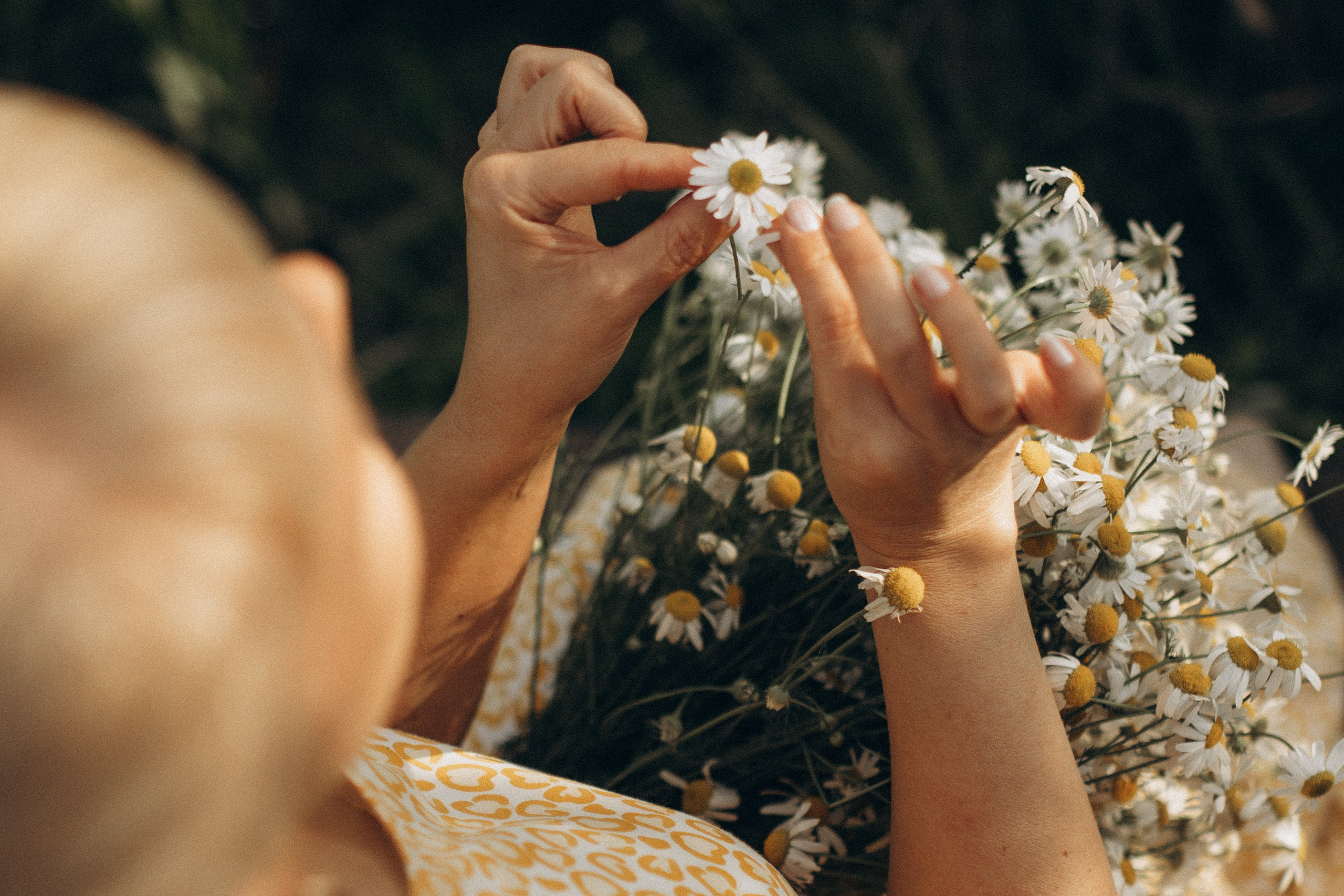 Евгения. Семейный фотограф lifestyle в Новосибирске Елена Шпилевая