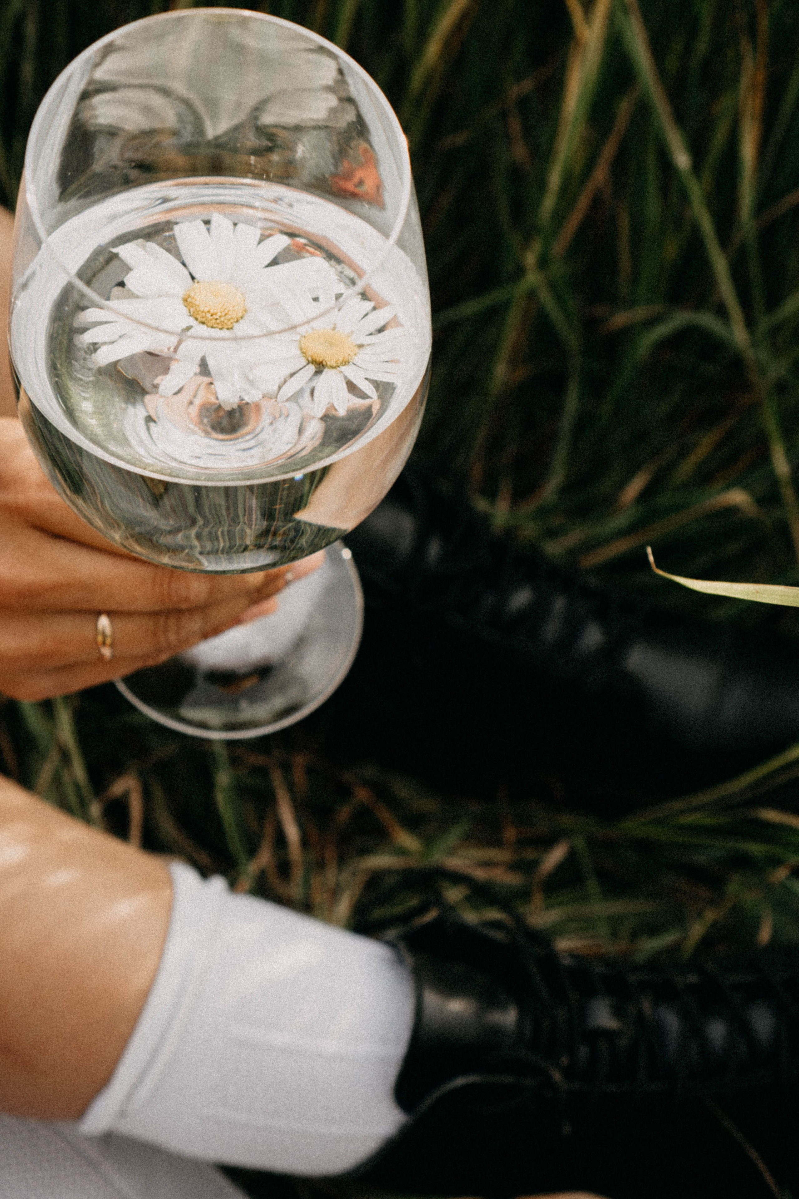 Летняя прогулка. Профессиональный фотограф, Санкт-Петербург — Виктория Богомолова