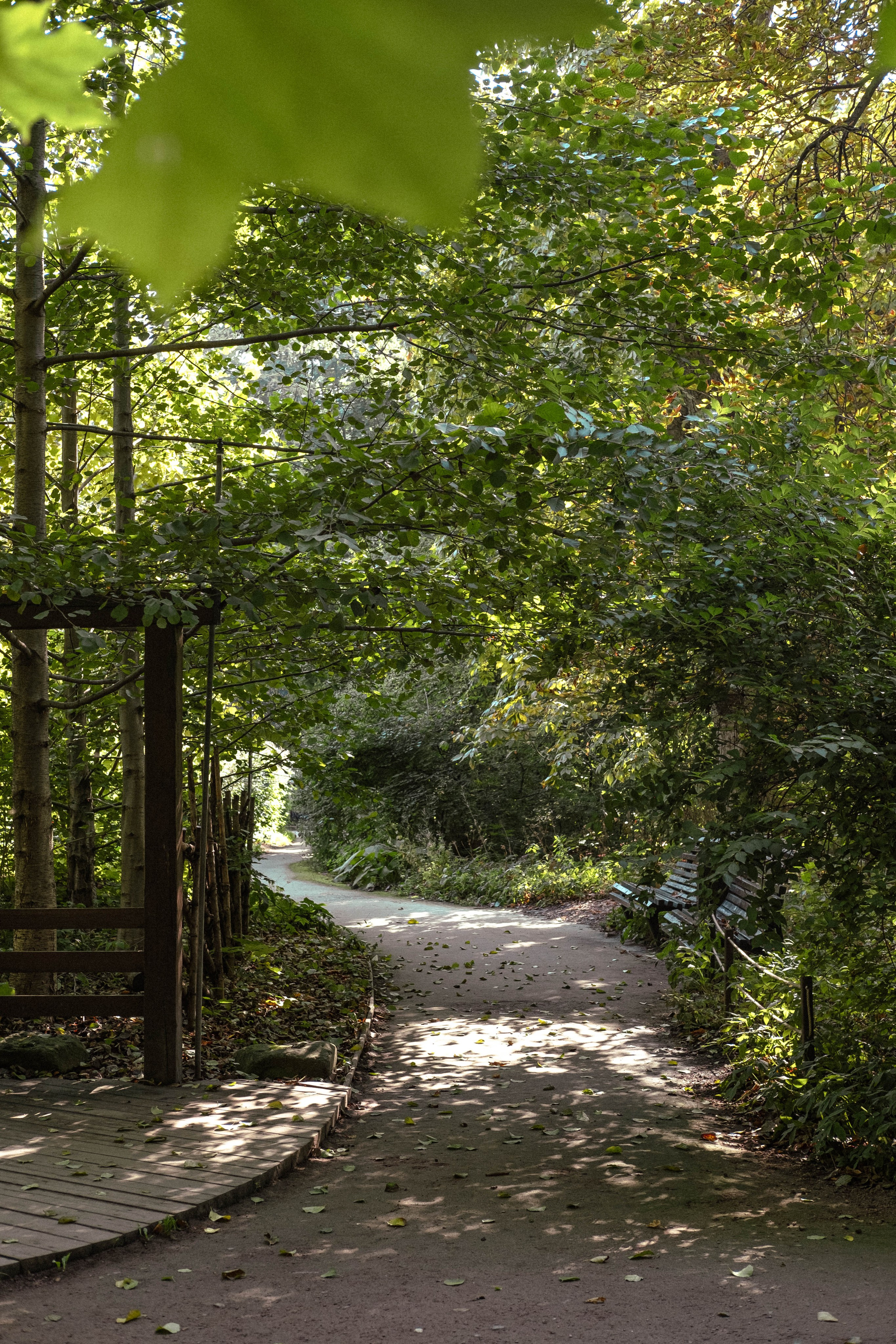 Москва 2024. Свадебный и семейный фотограф в Новосибирске, Санкт-Петербурге, Москве