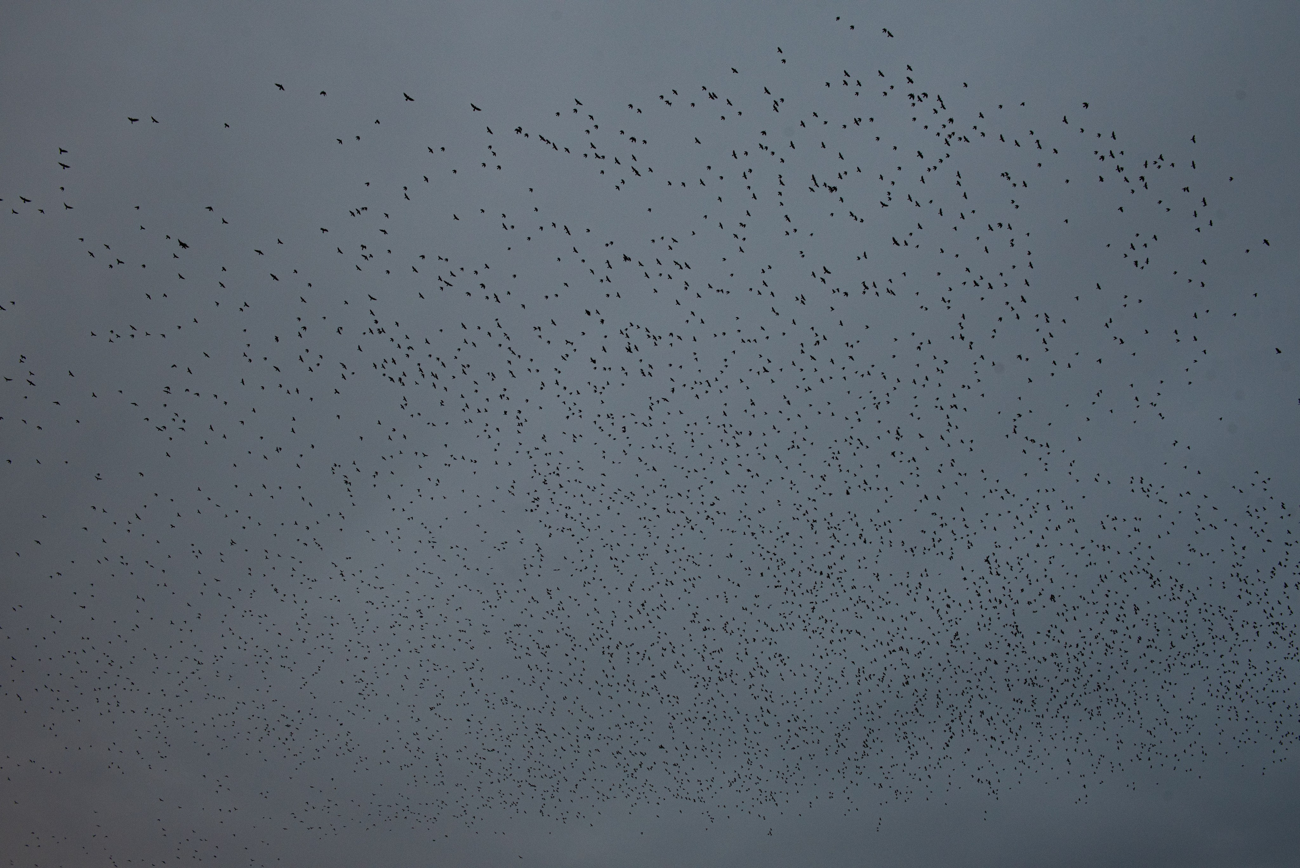 Мурмурация. Портретный и архитектурный фотограф в Москве и Санкт-Петербурге
