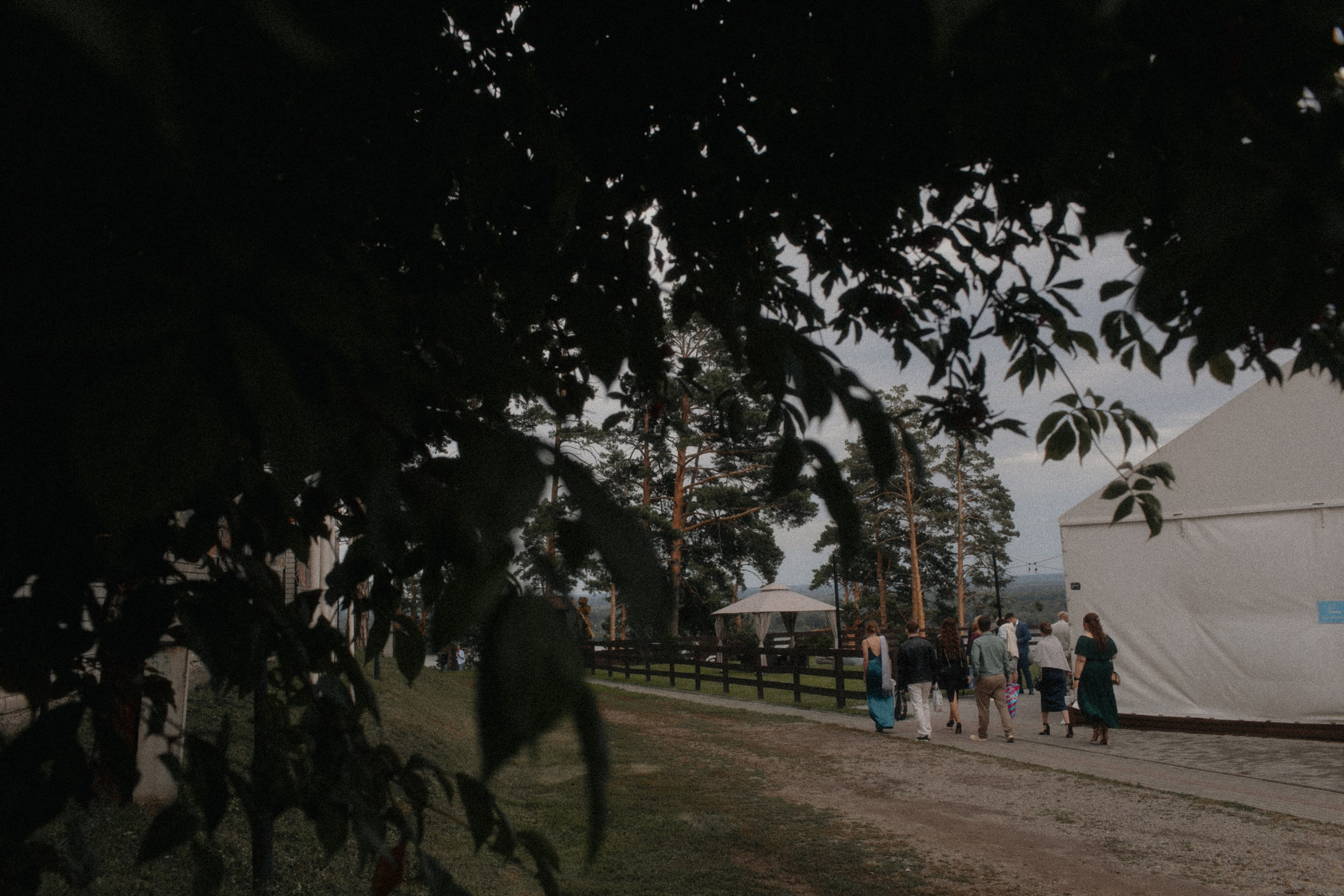 Николай и Елена. Свадебный фотограф Артак Костанян