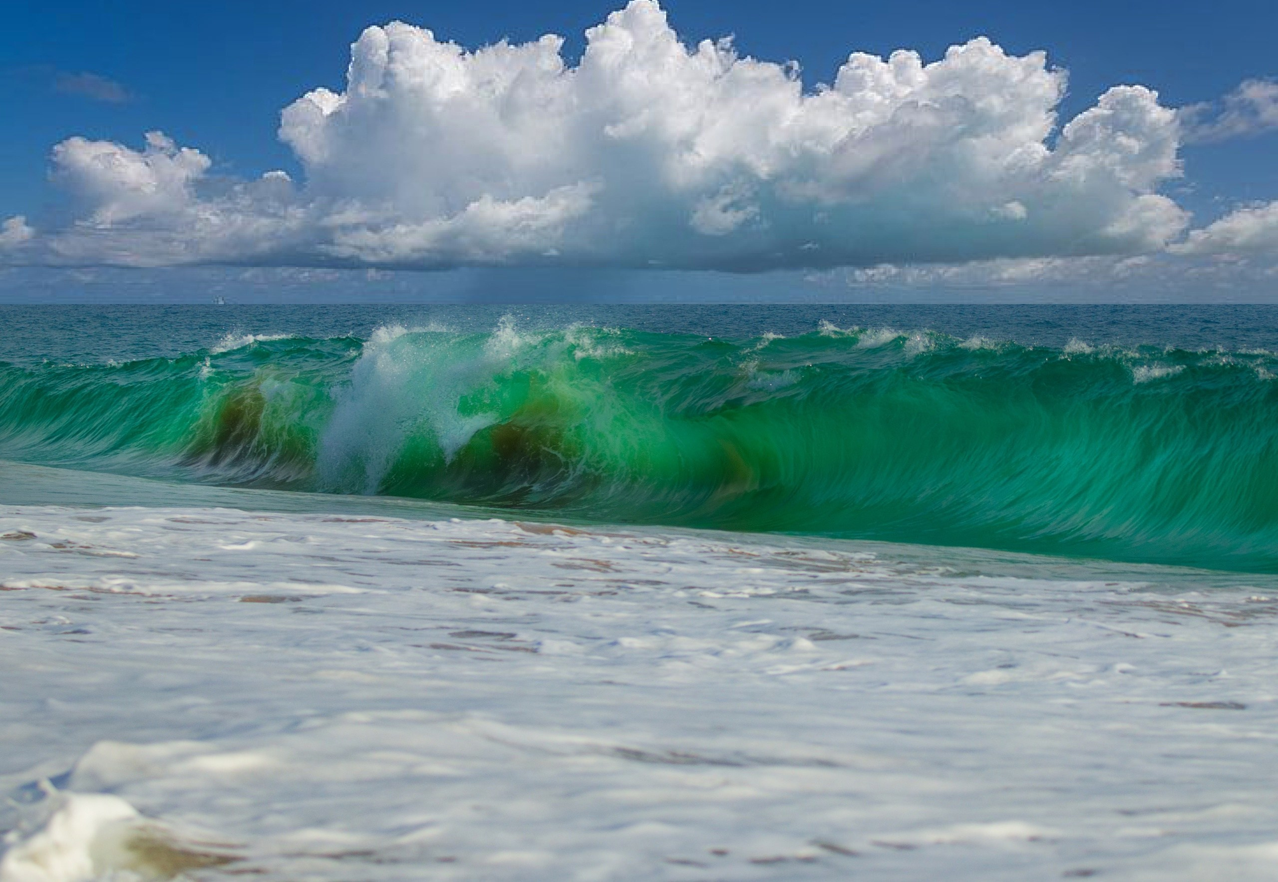 ПРИРОДА. Слепки времени. Фотографии природы и событий. Москва. Сергей Аллагулов