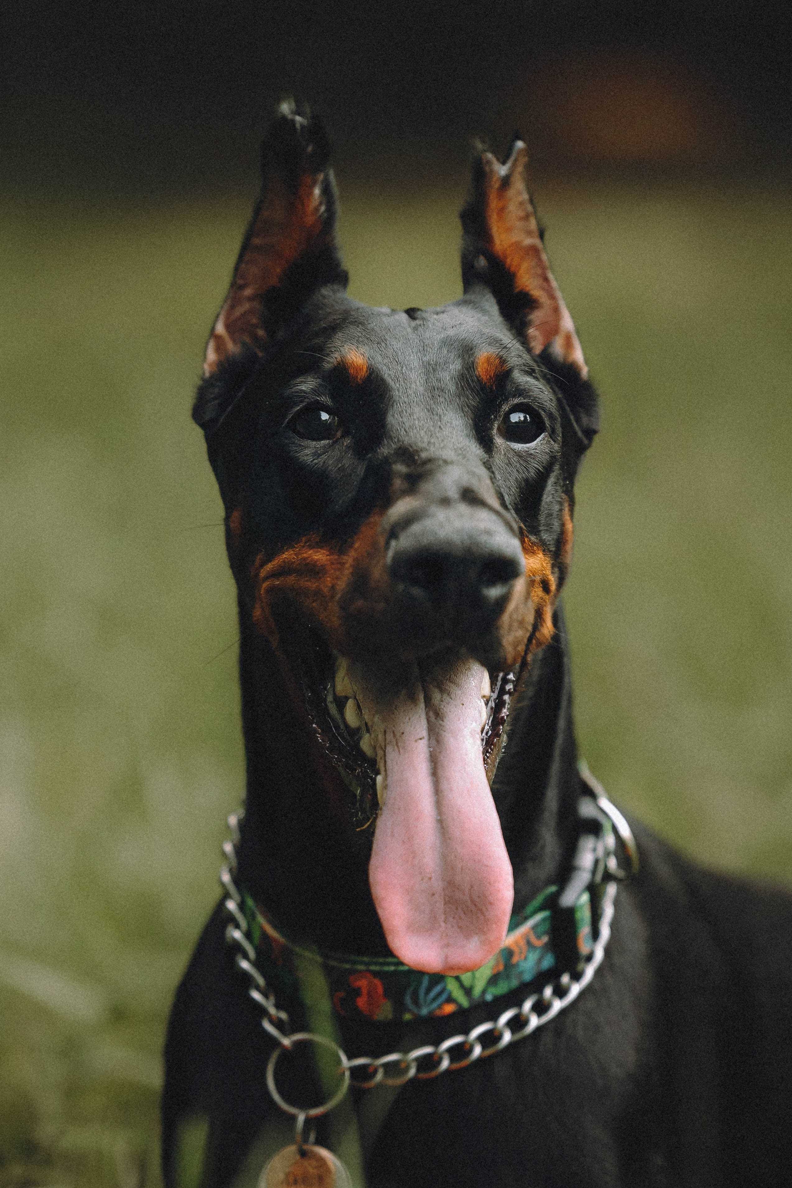 Паша и Хайди