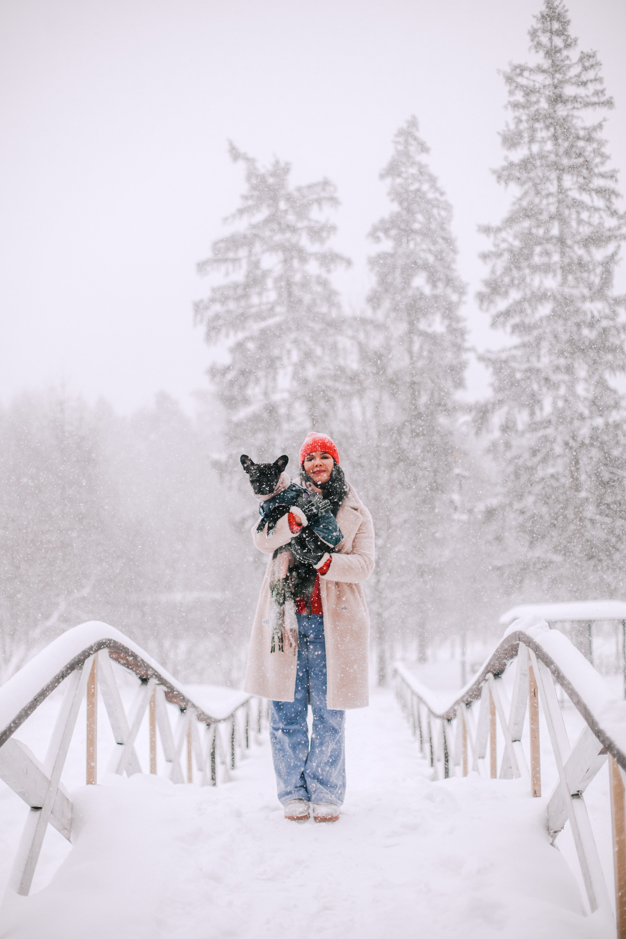 Кантри Хаус. Фотограф-анималист Татьяна Степанова