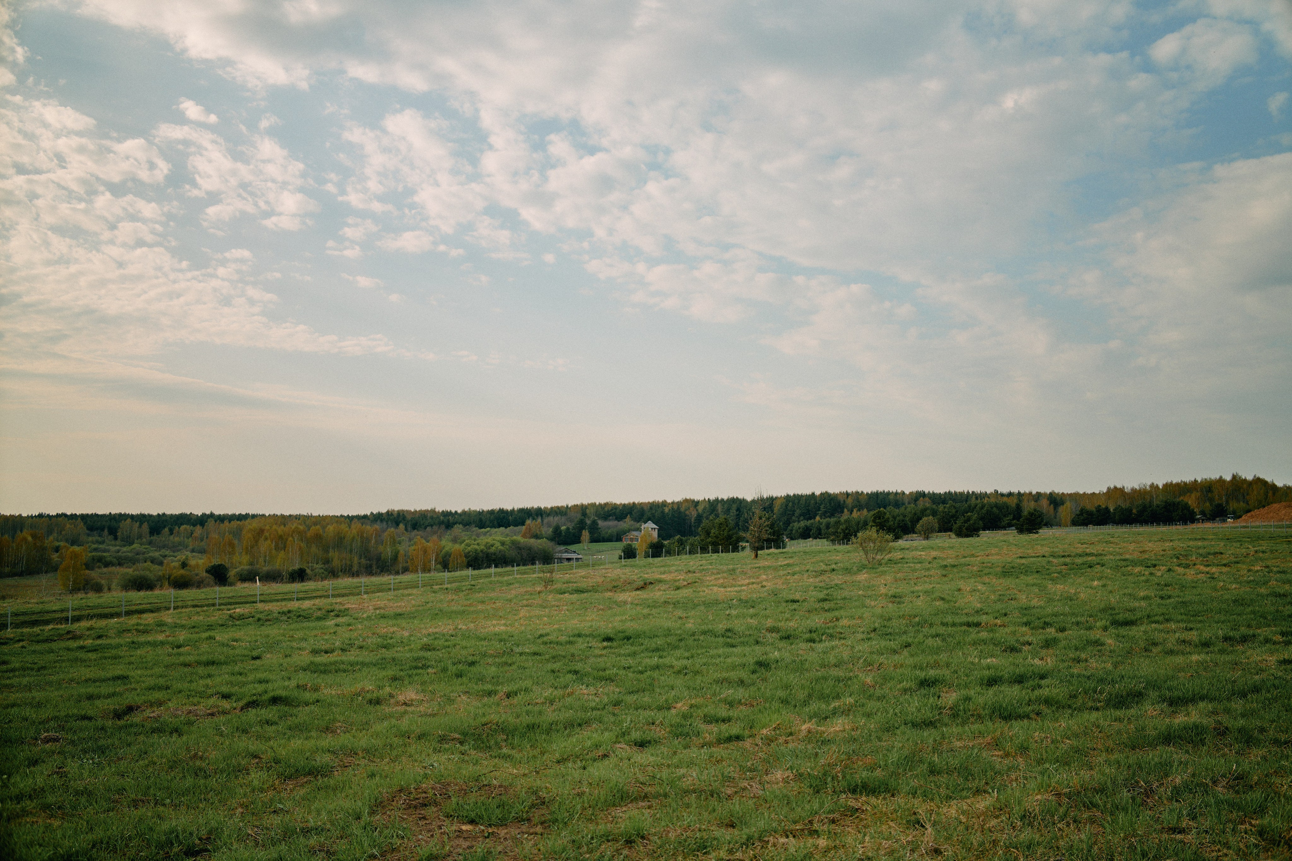 Бутик-отель Поле летом. Профессиональный Фотограф во Владимире, в Москве и в Суздале — Полина Романычева