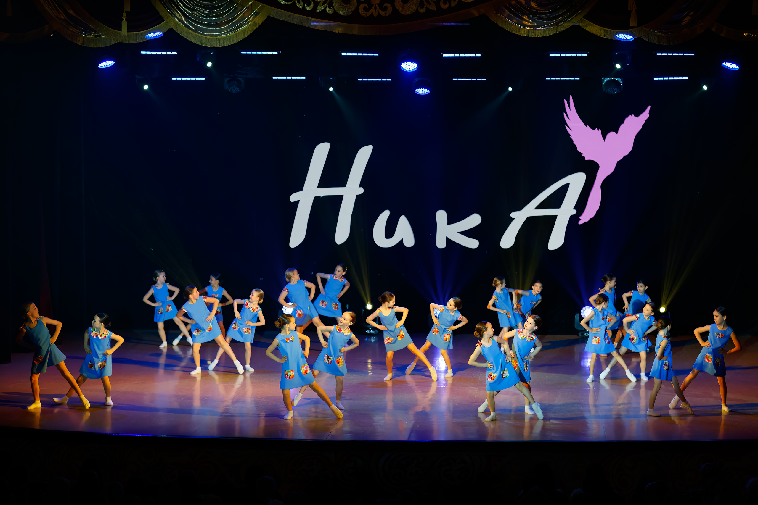 Ника 2026 избранное. Павел Шапочкин | Фотография от земли до неба