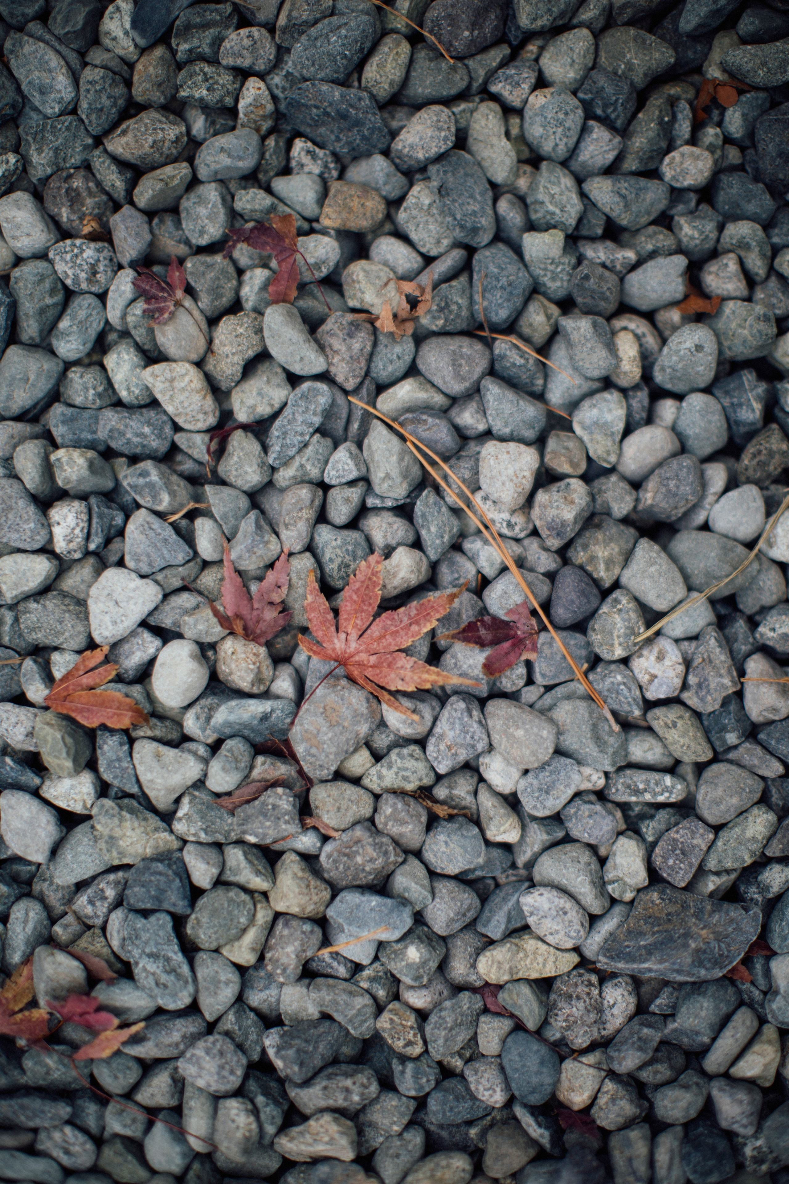 Япония. Главная