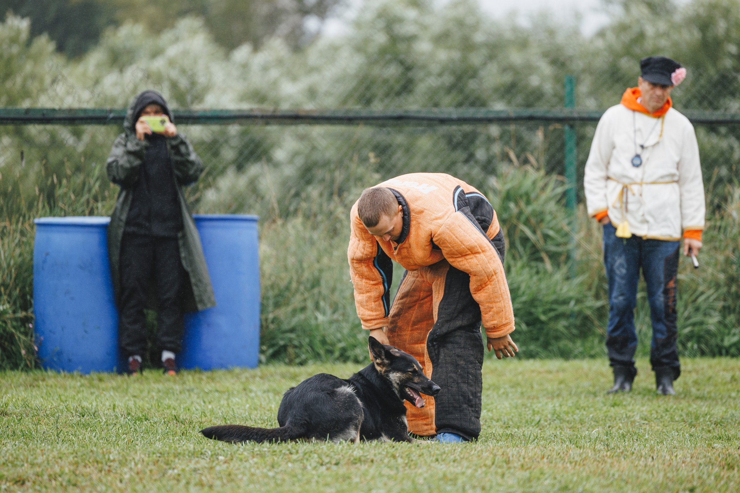 08.08.25-10.08.25 ЧР по мондьорингу г. Вологда. Фотограф-анималист Анна Маринич