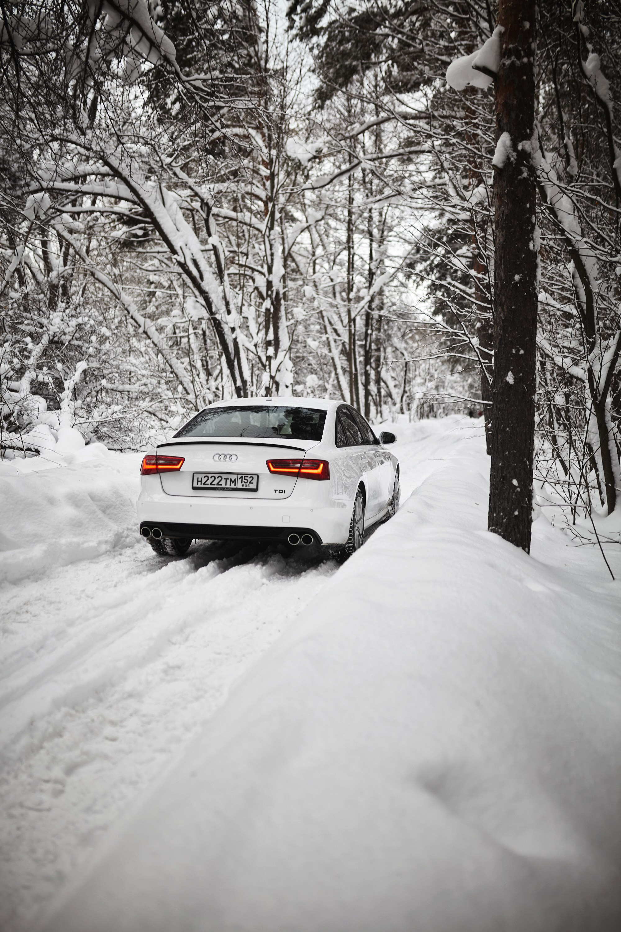 Audi A6. DKARPOCHEVA PHOTOGRAPHY