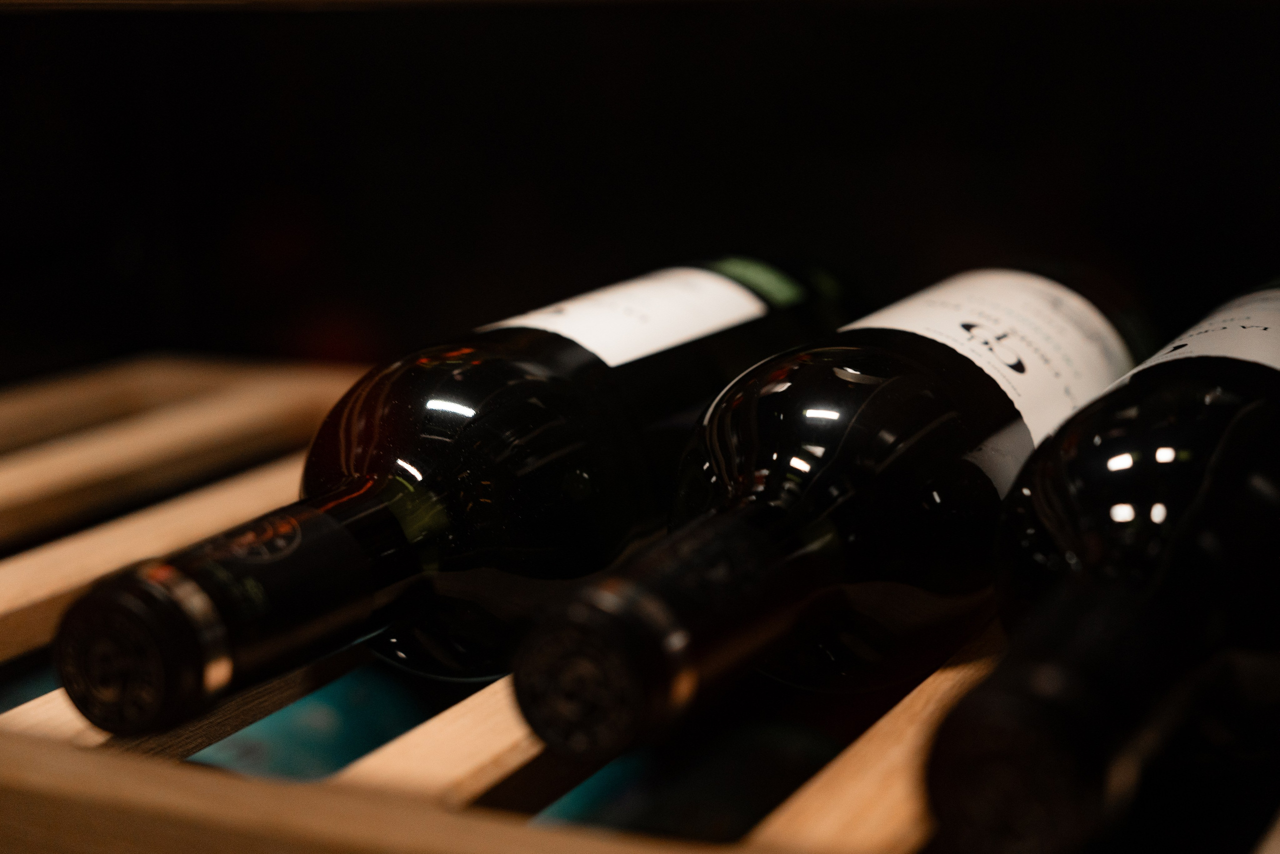 Мята Platinum Атлантис. Фотограф Никита Комаров