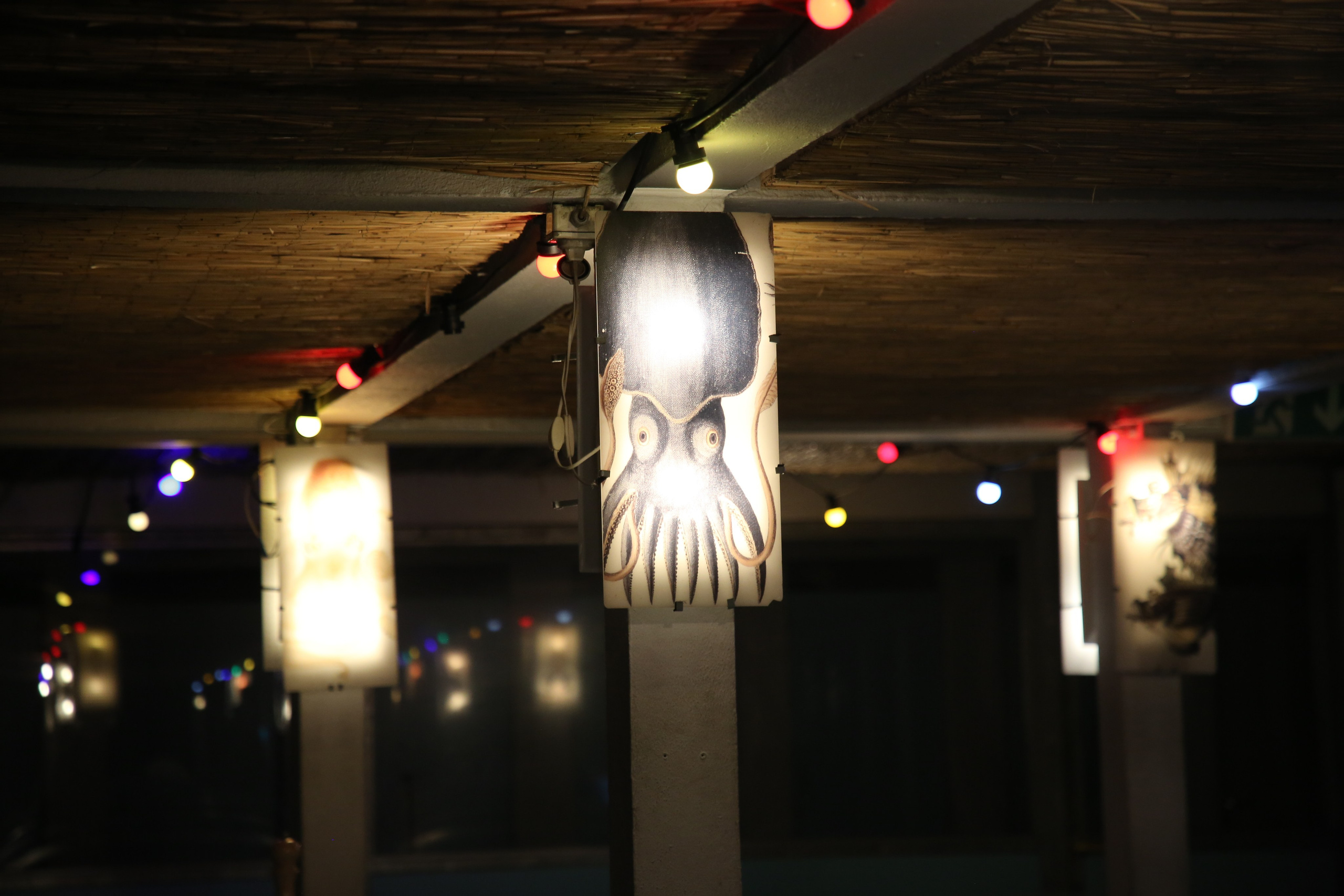 Geneva, Switzerland. Andrey Filippov Photographer