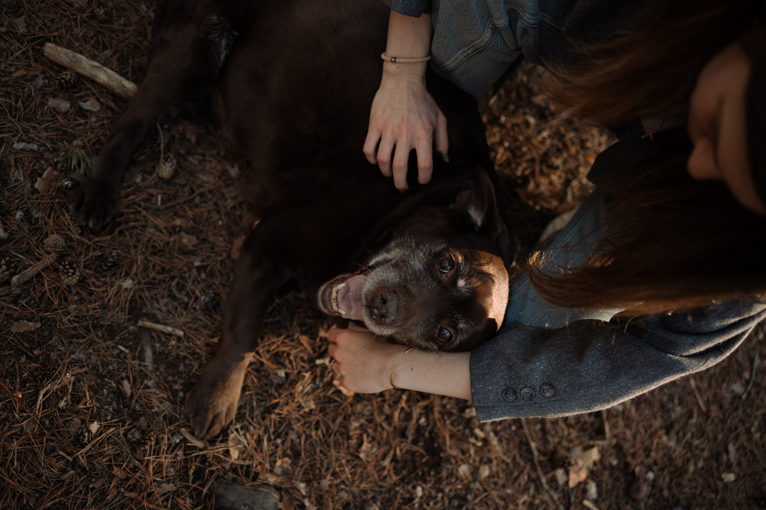 Оля и Питоня. Фотограф — Анималист | Санкт-Петербург