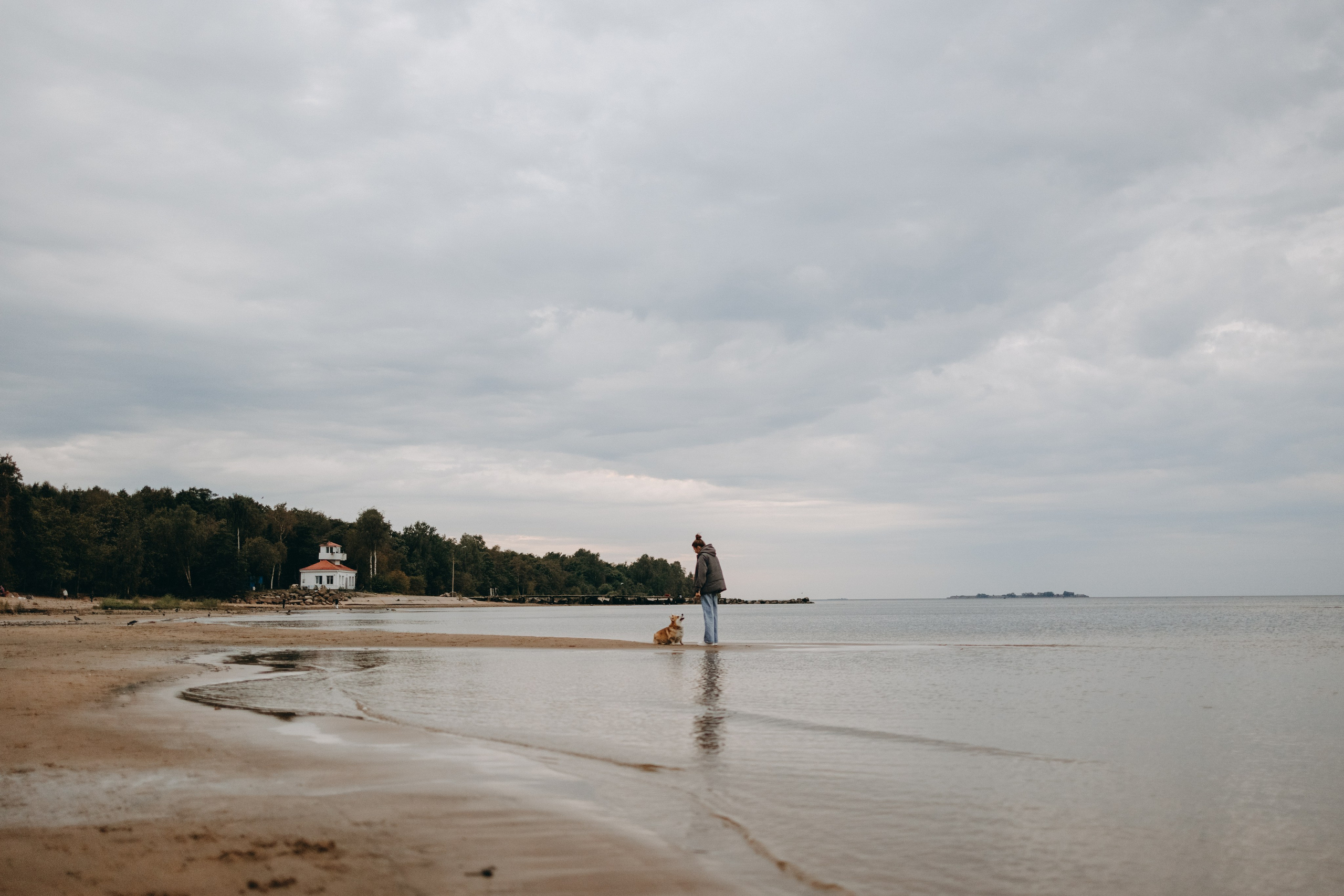 Лиза и Бакс. Фотограф — Анималист | Санкт-Петербург