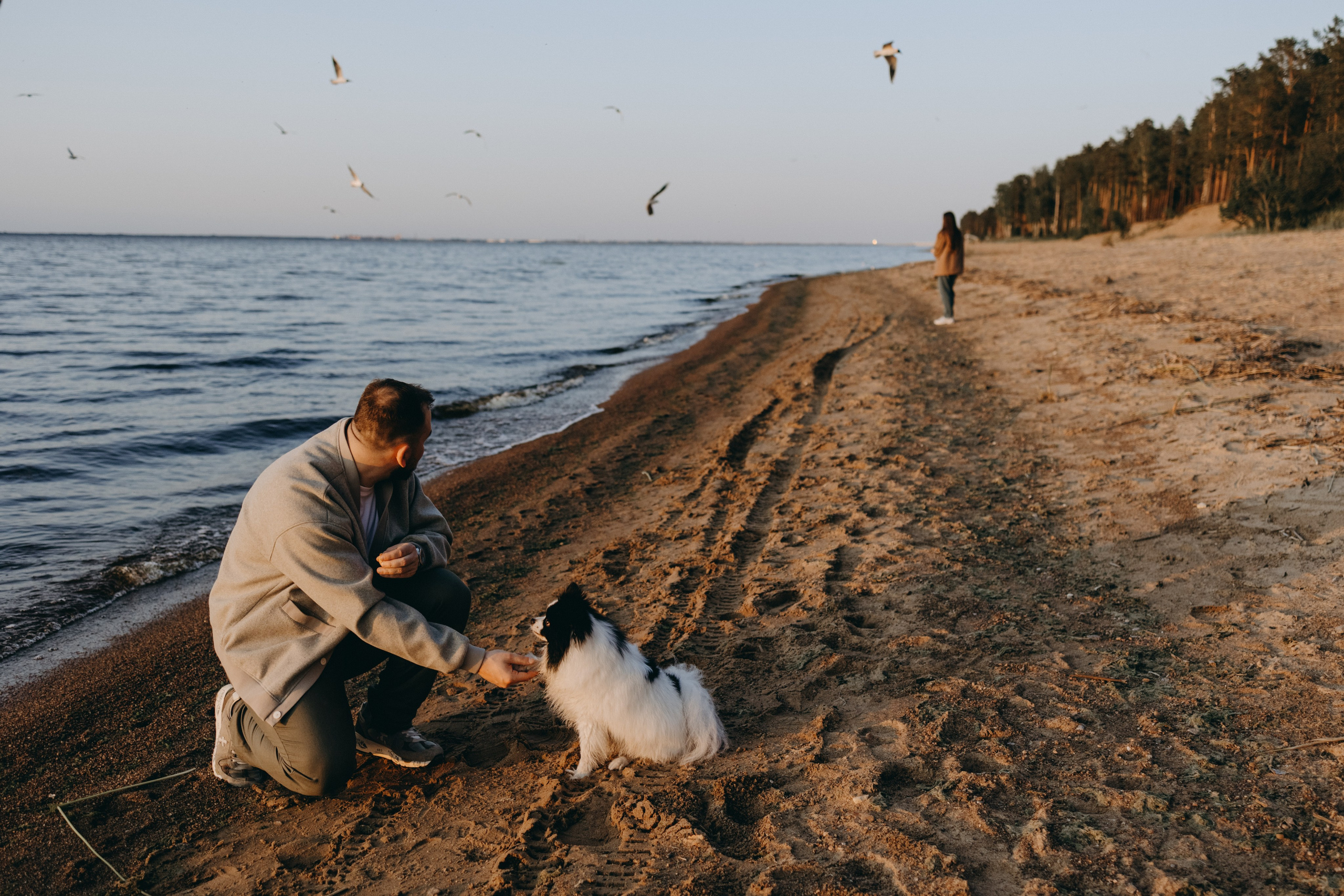 Диана и ее мальчики. Фотограф — Анималист | Санкт-Петербург