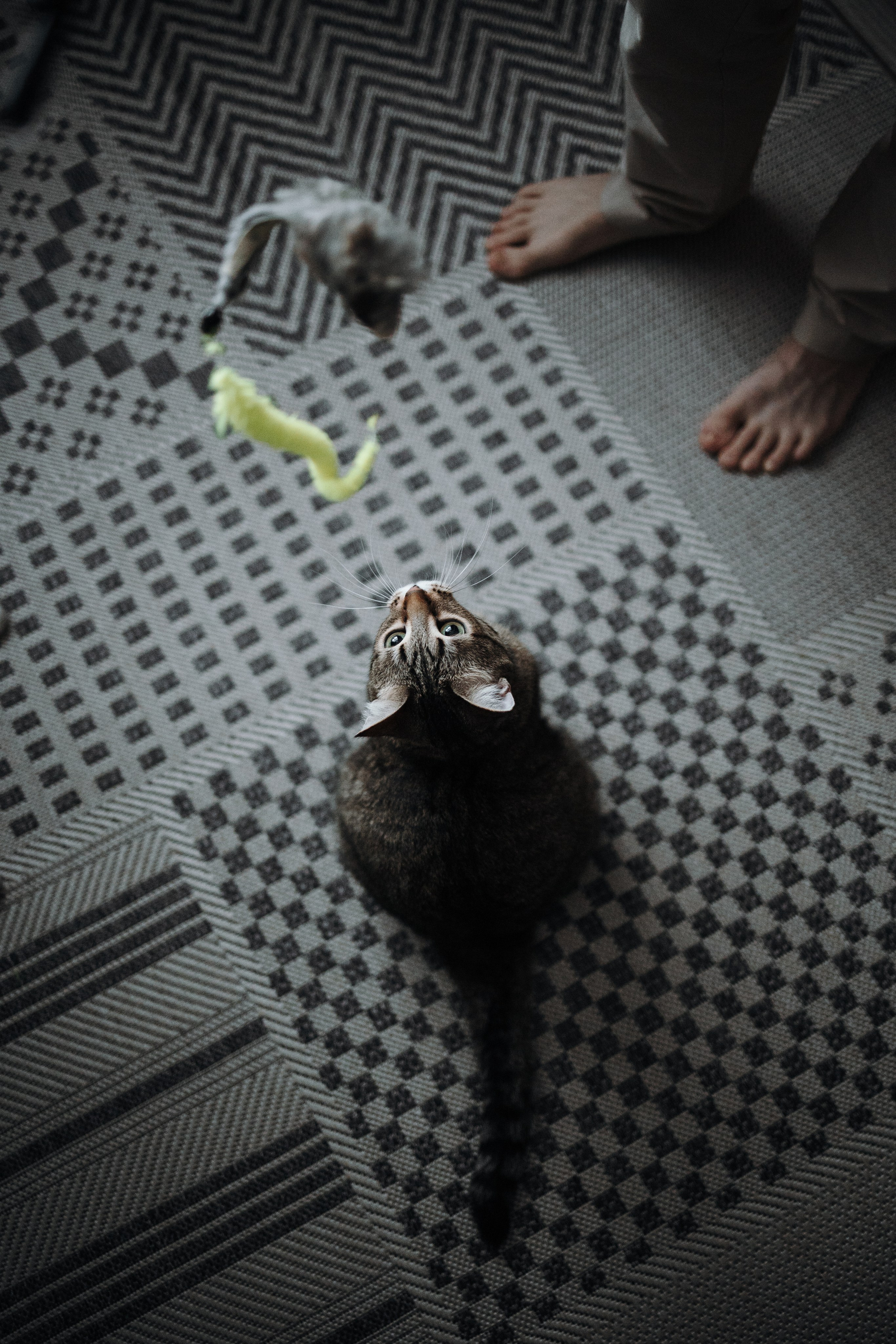 Мася и ее семья. Фотограф — Анималист | Санкт-Петербург