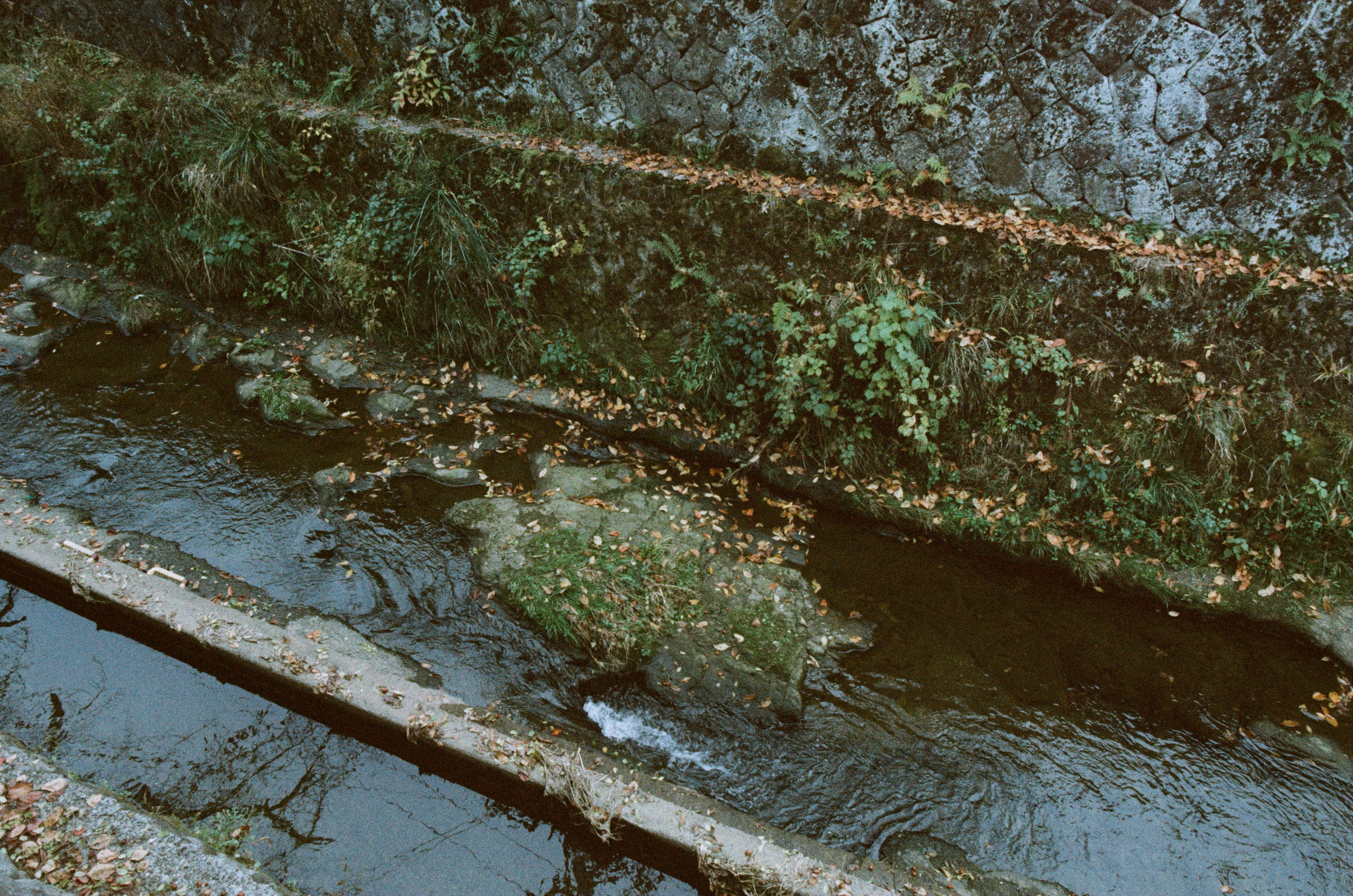 Out of noise // japan, takayama II. EVER EXPOSED